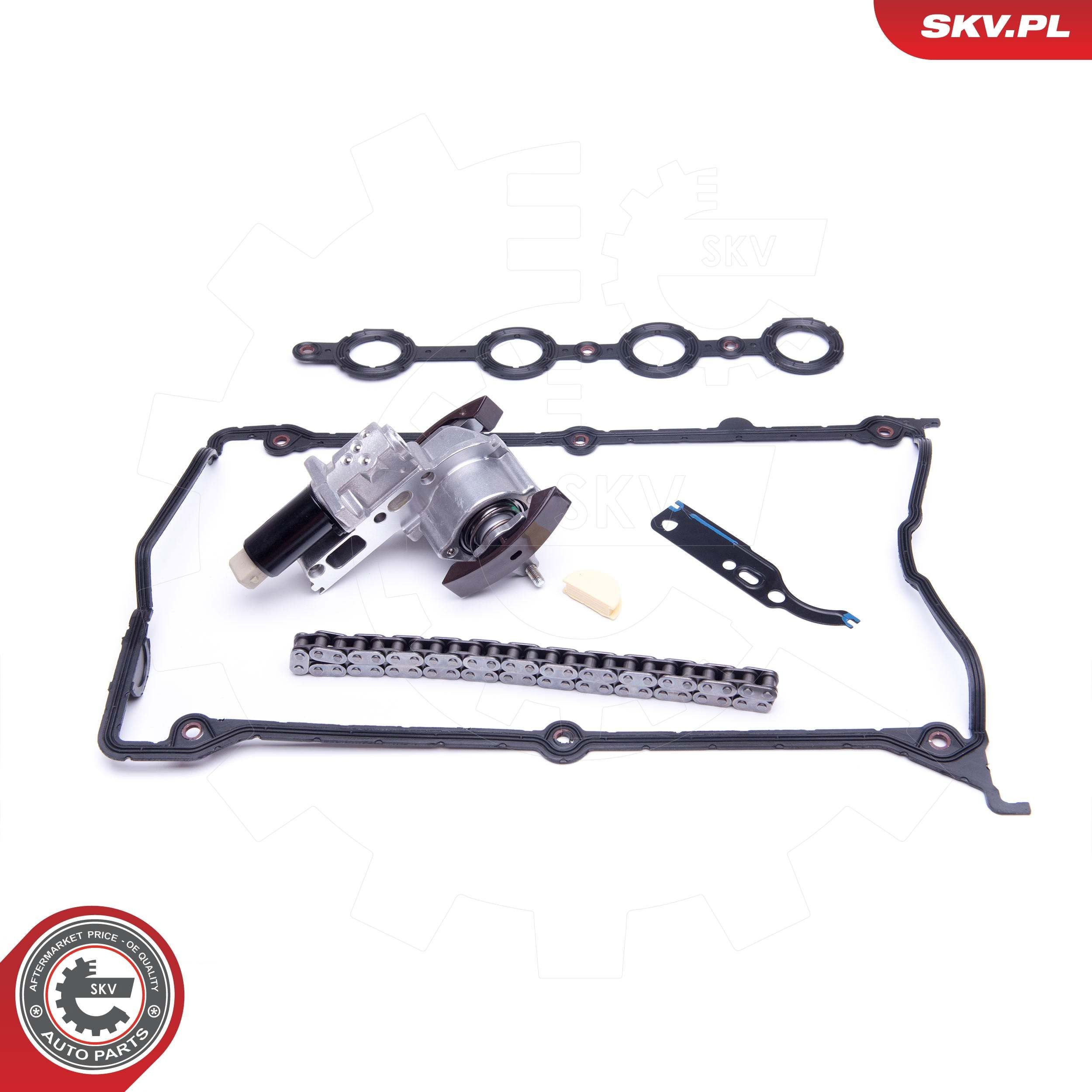 Ланцюг ГРМ, комплект SKV 21SKV110