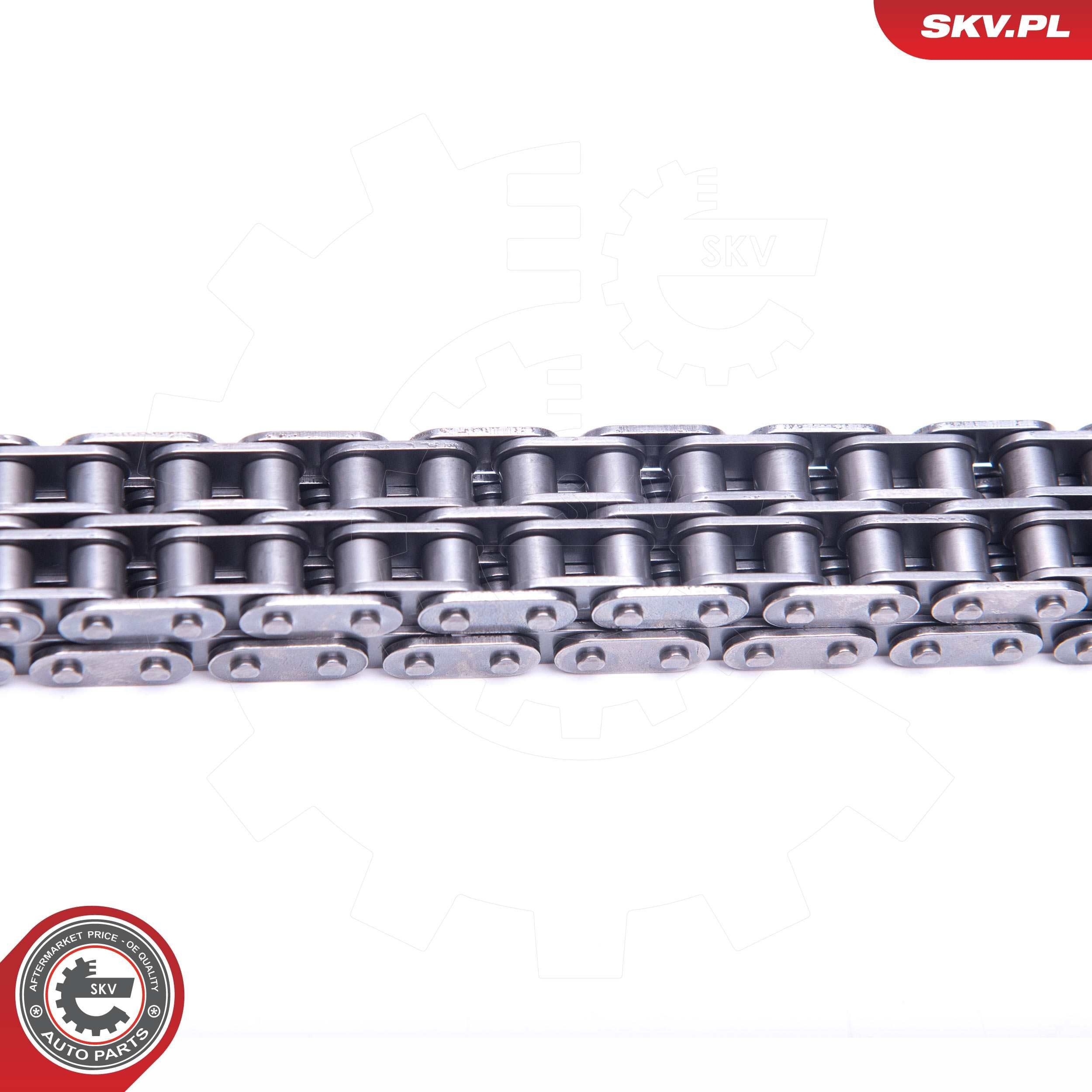 Ланцюг ГРМ, комплект SKV 21SKV129