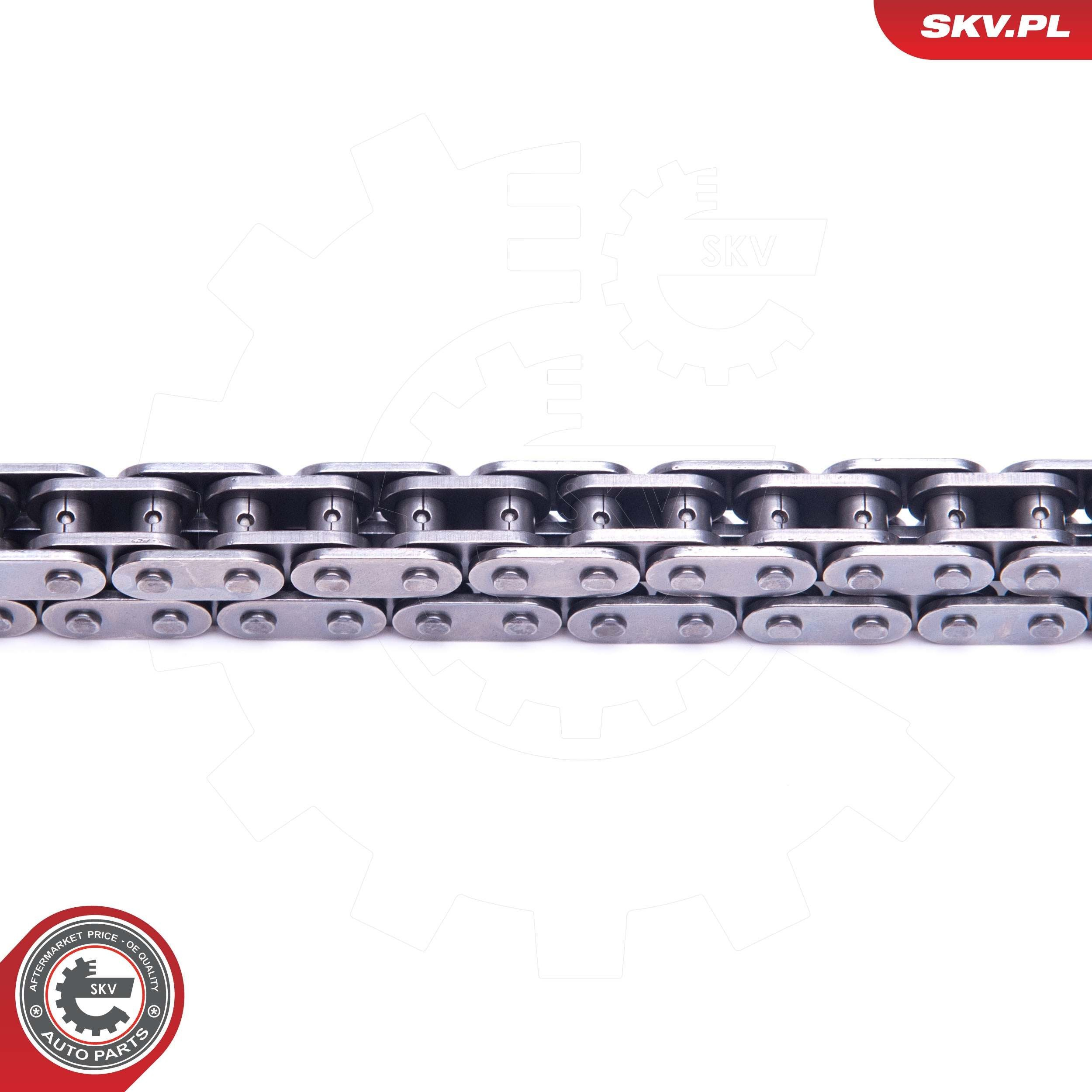 Комплект ланцюга ГРМ 21SKV141 SKV