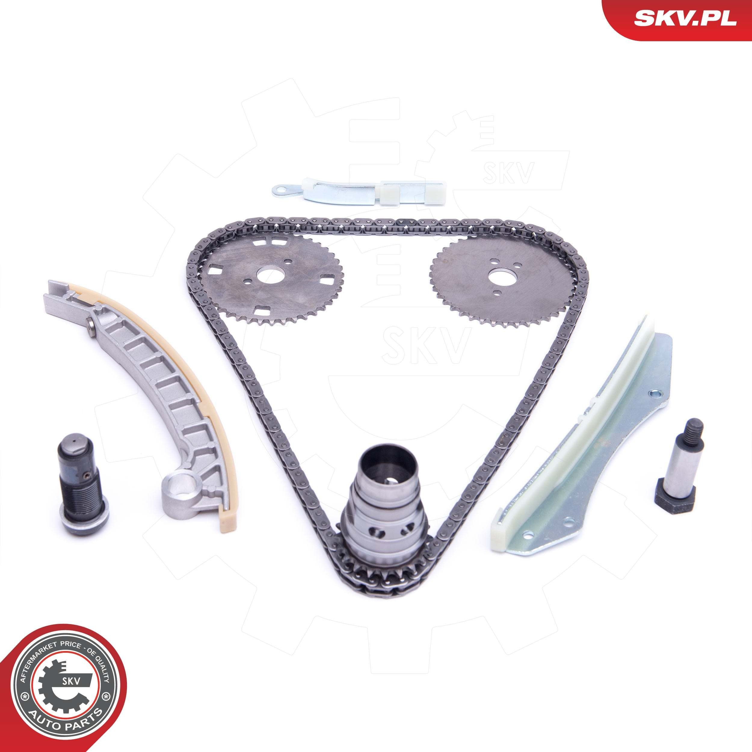 Ланцюг ГРМ, комплект SKV 21SKV141