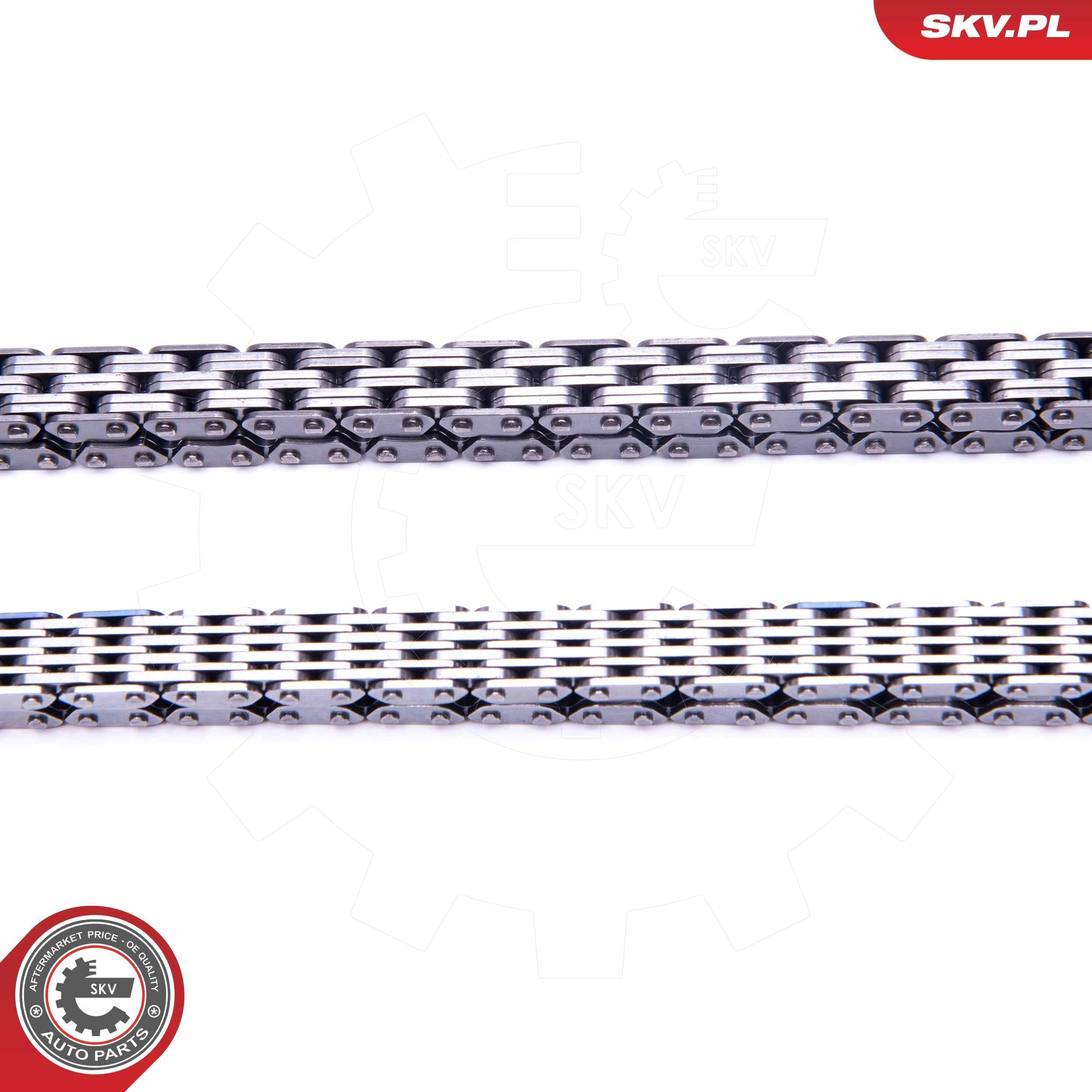Комплект ланцюга ГРМ 21SKV161 SKV