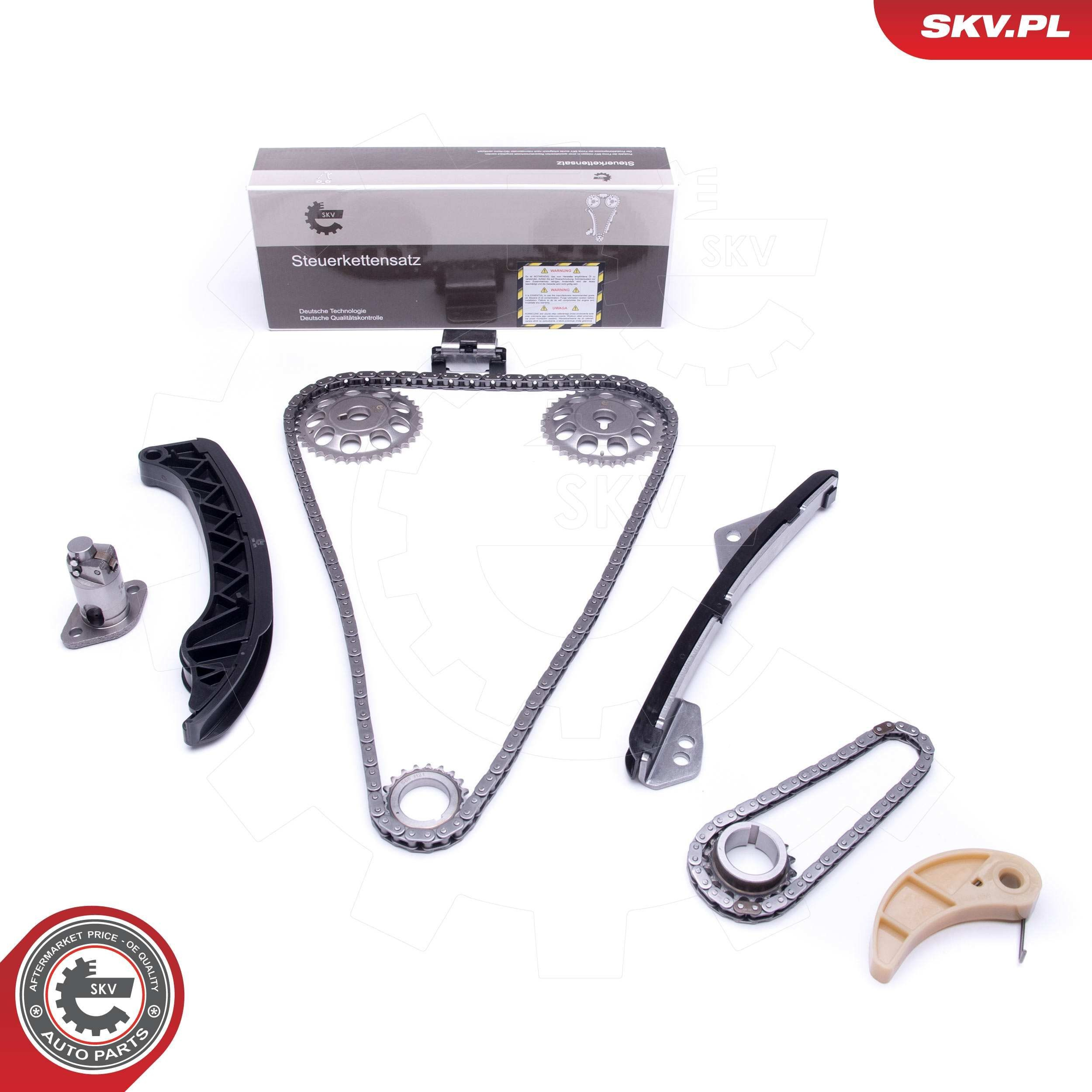 Ланцюг ГРМ, комплект SKV 21SKV188