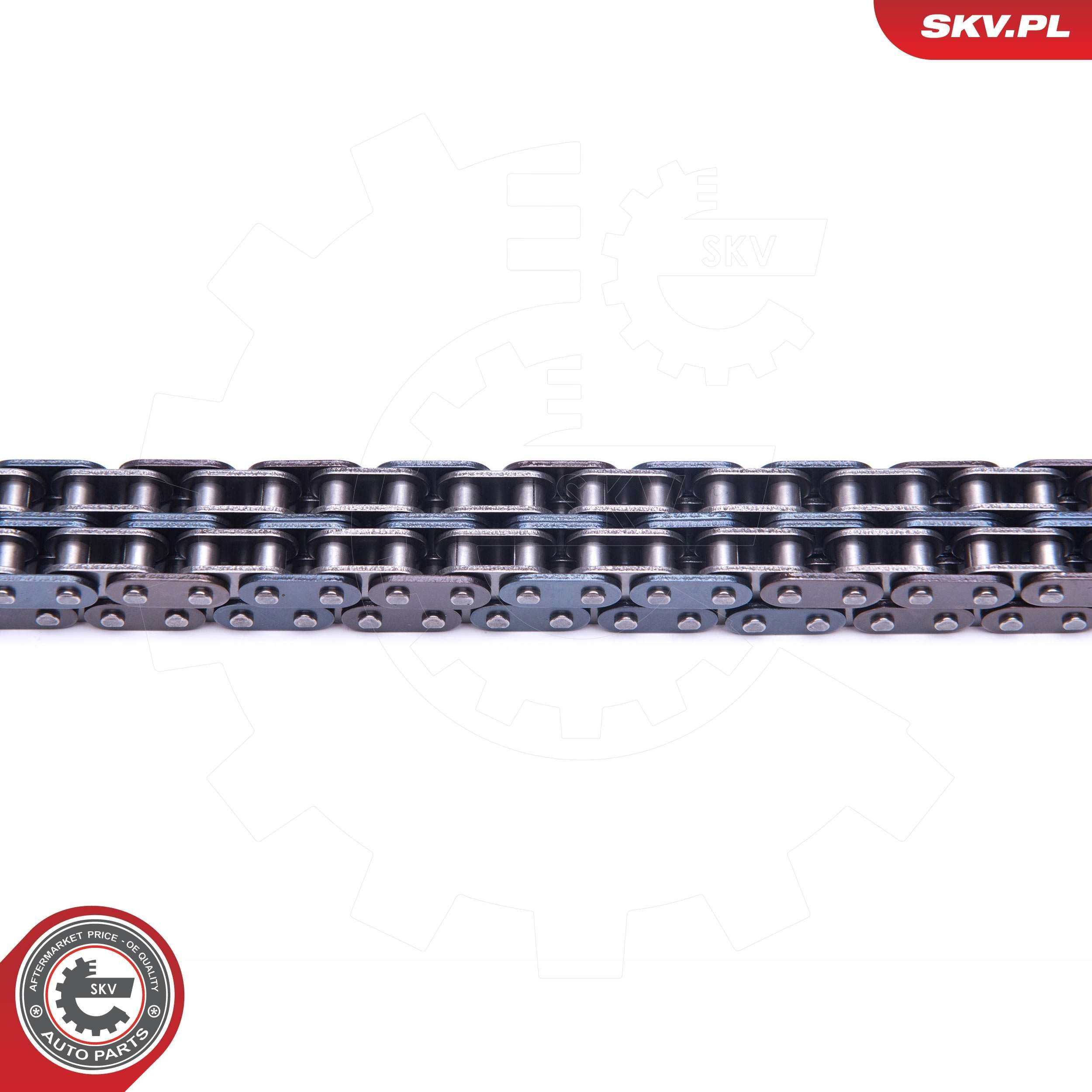 Ланцюг ГРМ, комплект SKV 21SKV218