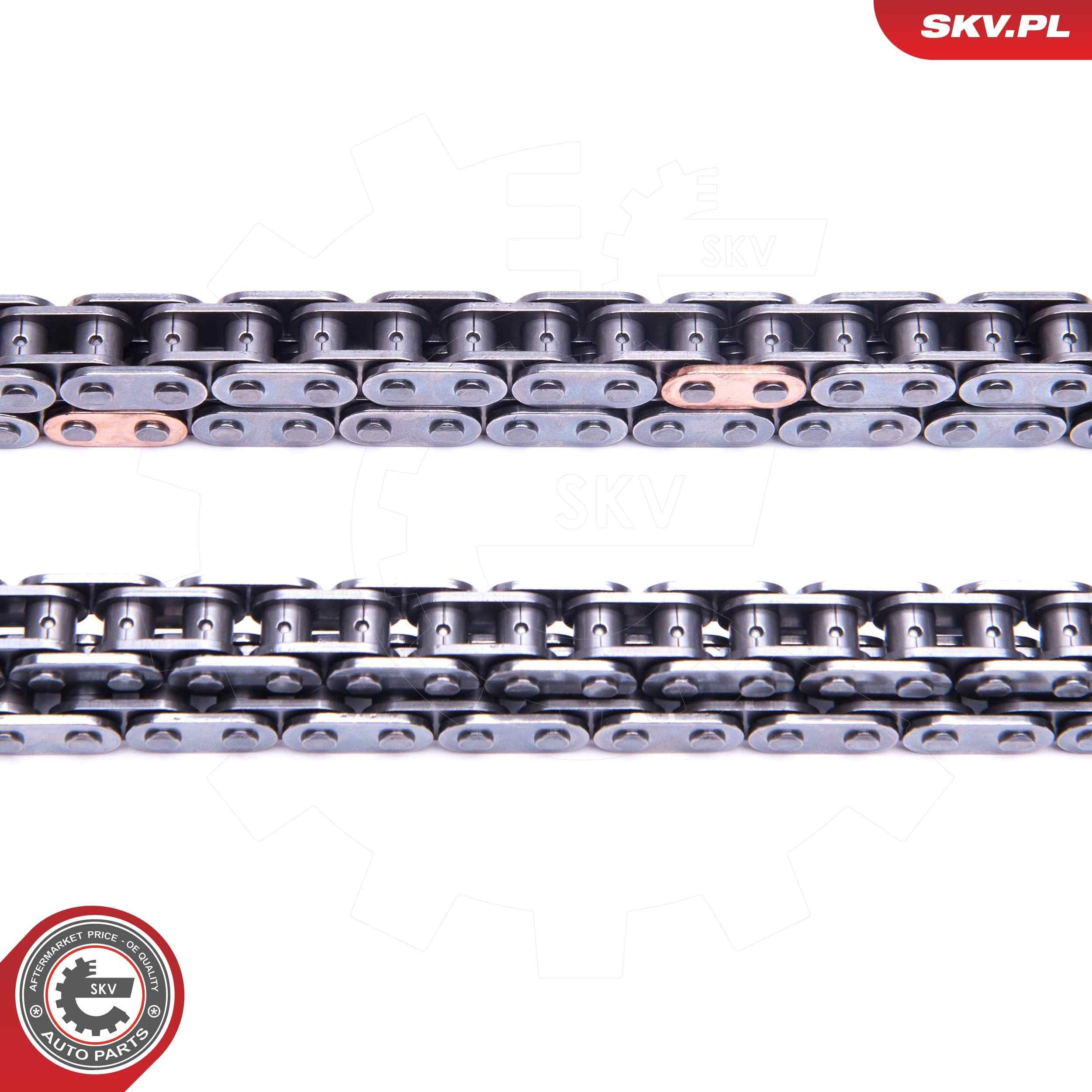 Ланцюг ГРМ, комплект SKV 21SKV225 ціна, від 210.88 USD