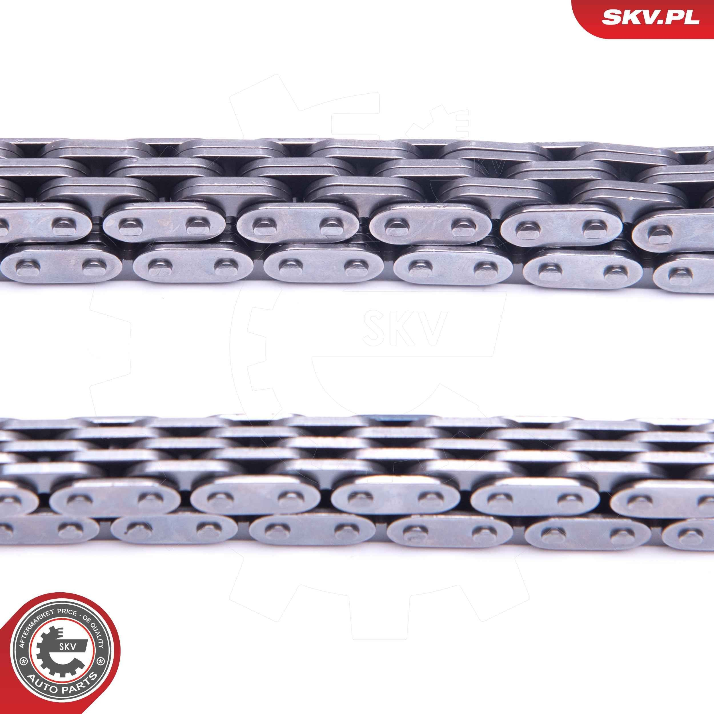 Ланцюг ГРМ, комплект SKV 21SKV231