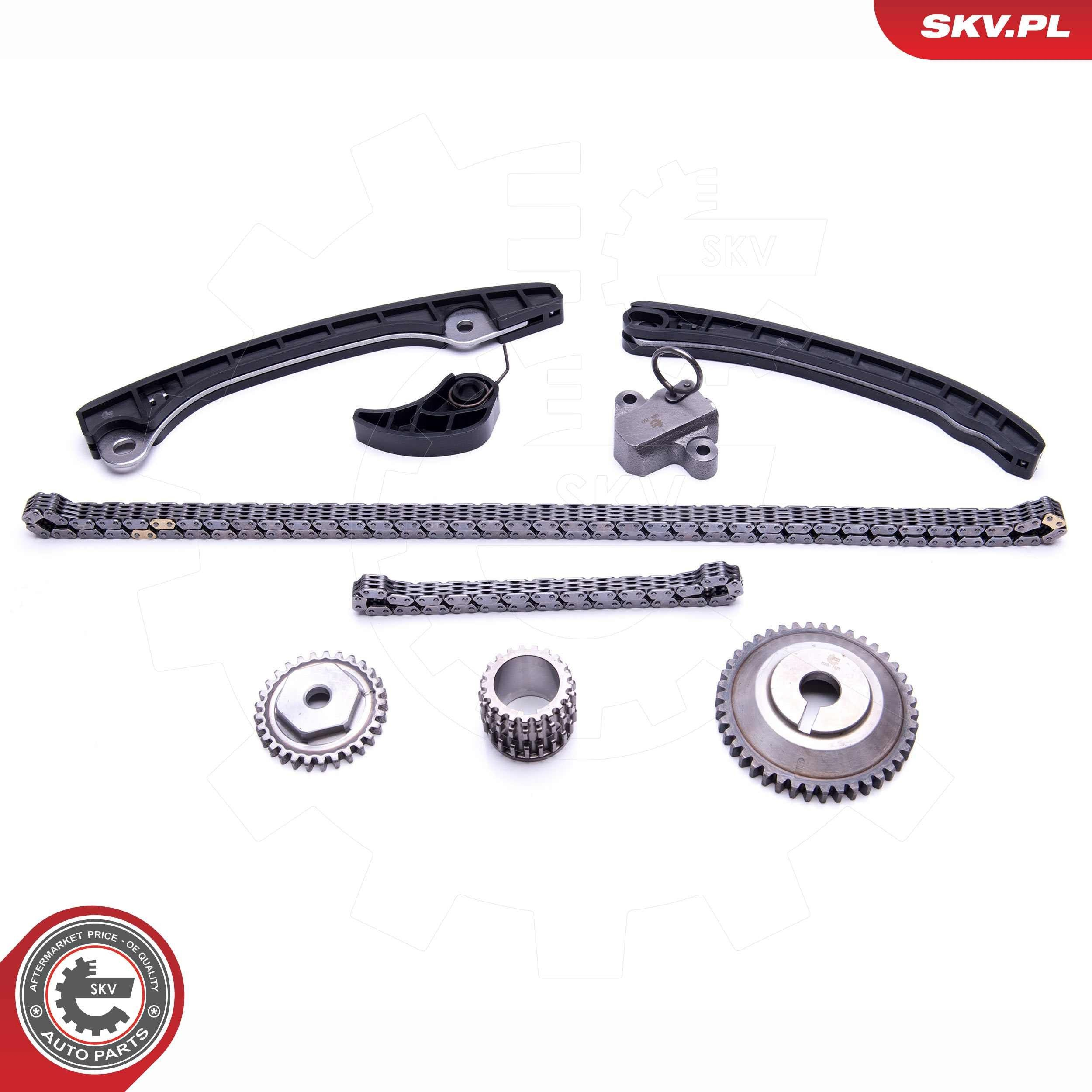 21SKV248 SKV Ланцюг ГРМ, комплект