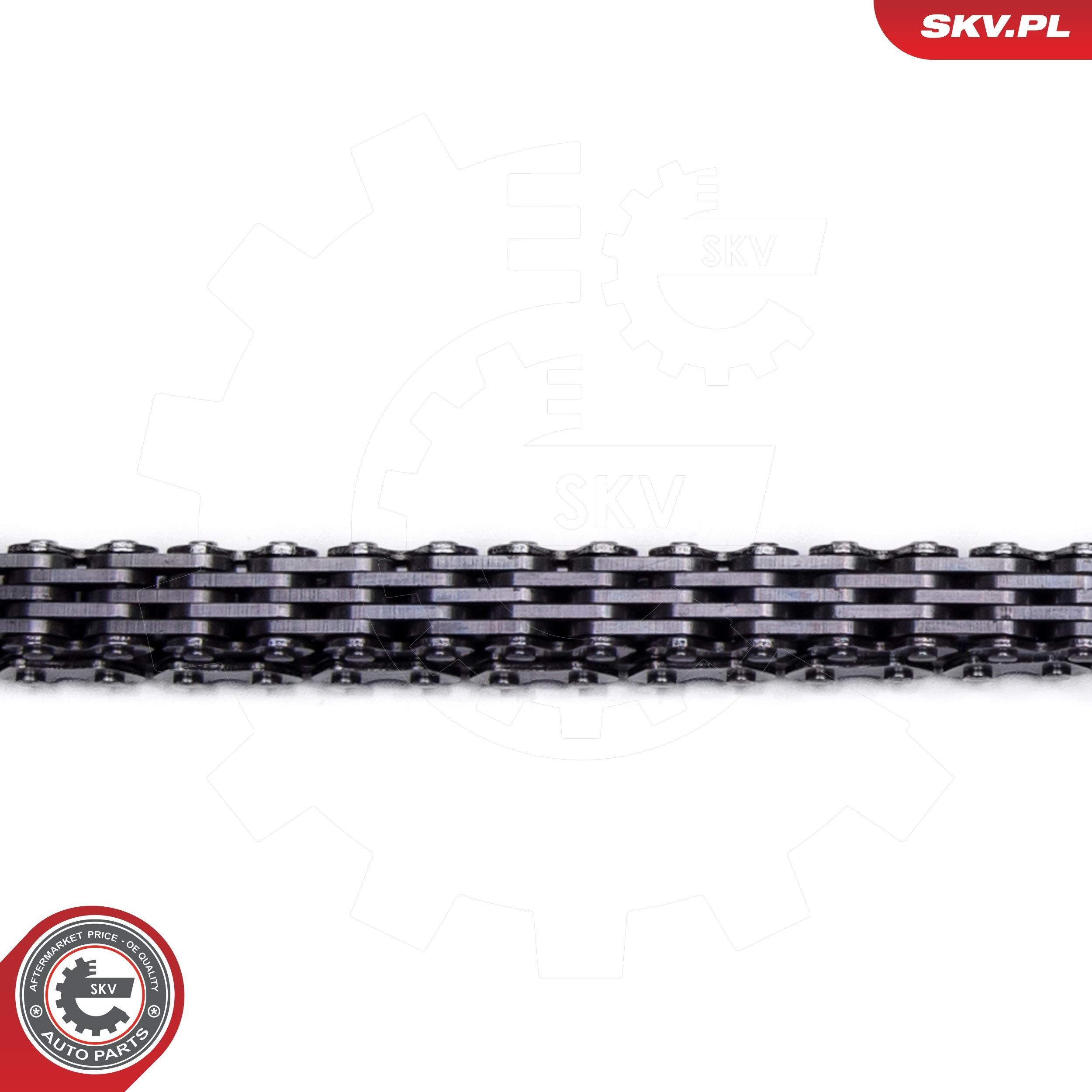 Купити 21SKV253 SKV 