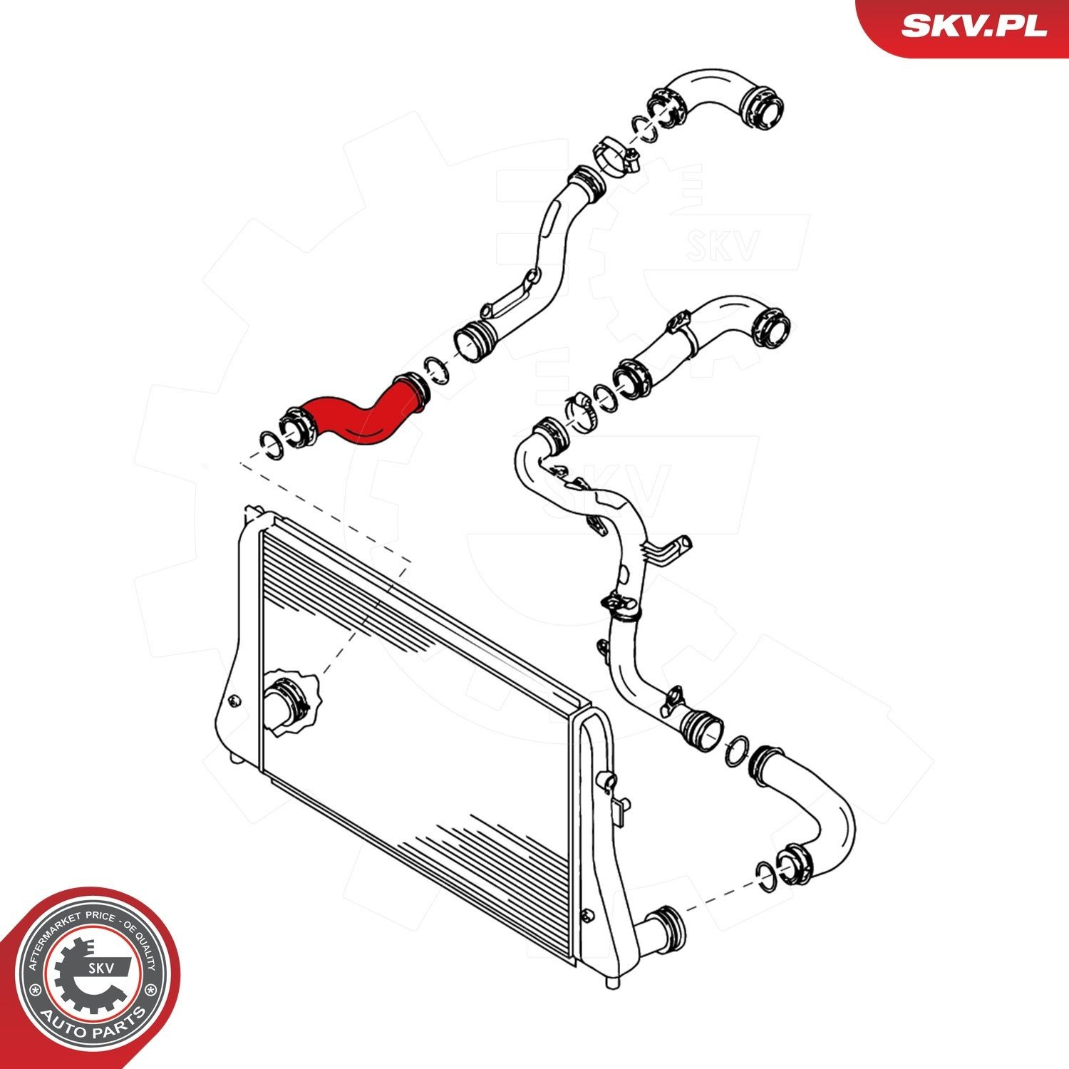 Шланг/патрубок интеркуллера SKV 24SKV005 ціна, від 32.29 USD