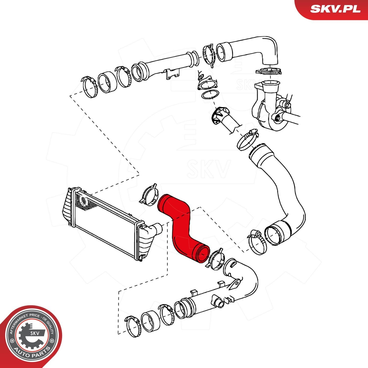 Купити 24SKV064 SKV Шланг/патрубок интеркуллера