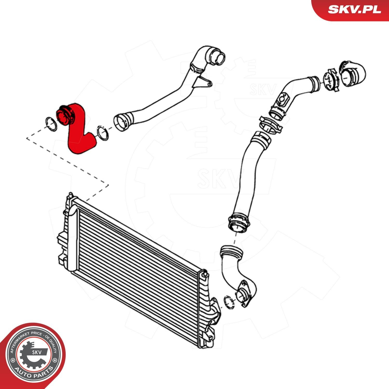 Купити 24SKV102 SKV Шланг/патрубок интеркуллера