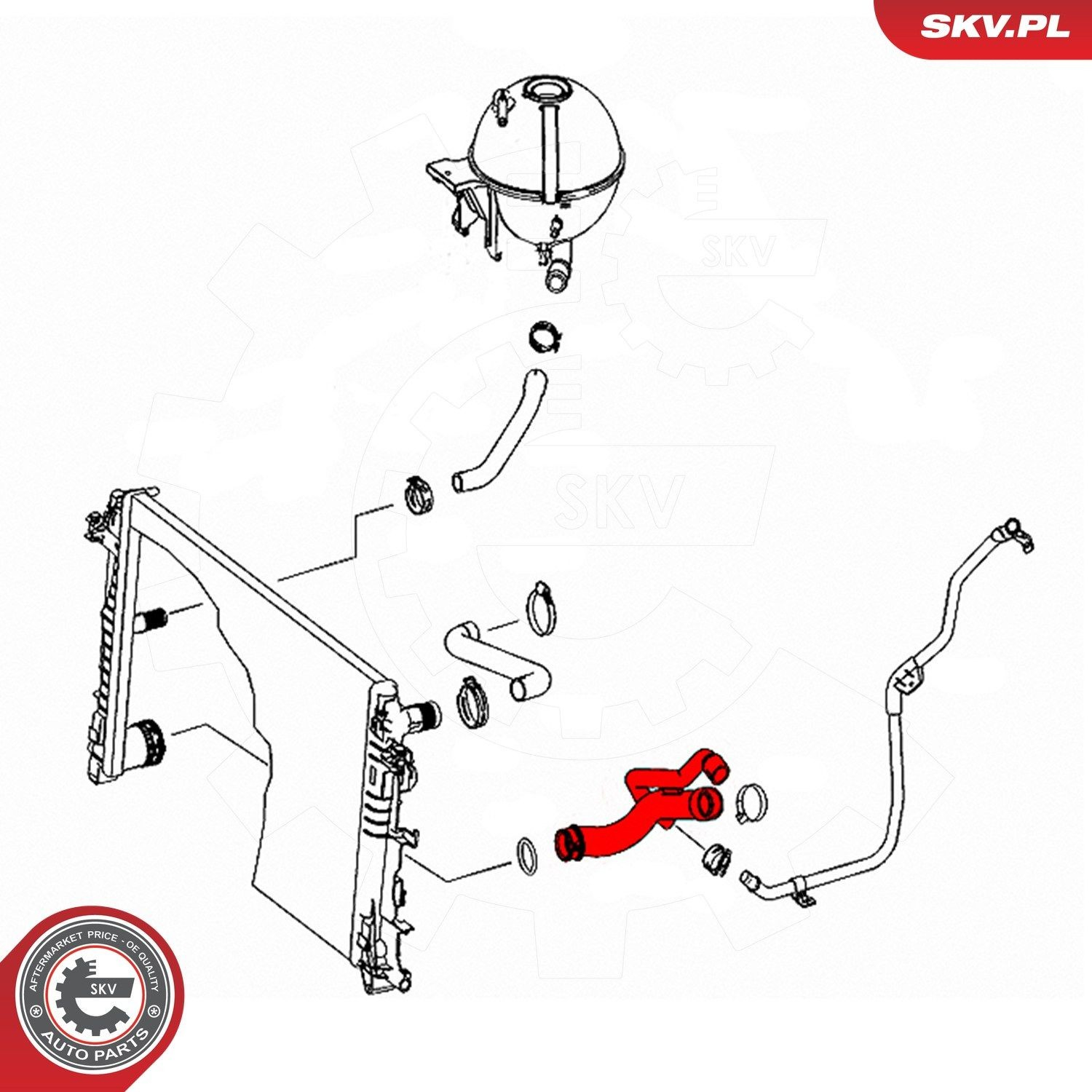 Шланг/патрубок радіатора охолодження, нижній 24SKV306 SKV