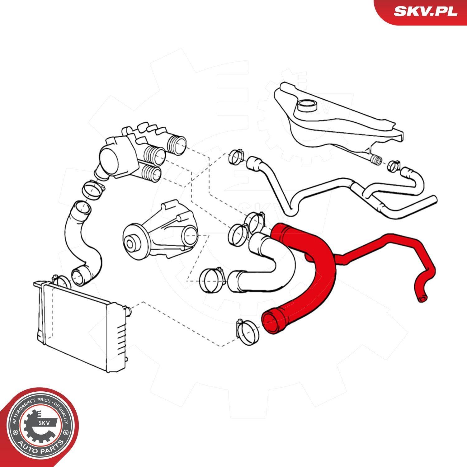 Купити 24SKV390 SKV Шланг/патрубок радіатора охолодження, верхній