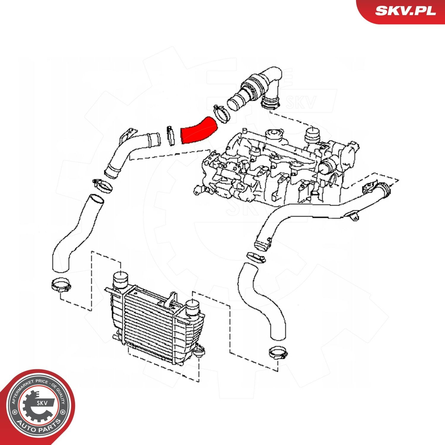 Шланг/патрубок інтеркуллера SKV 24SKV527
