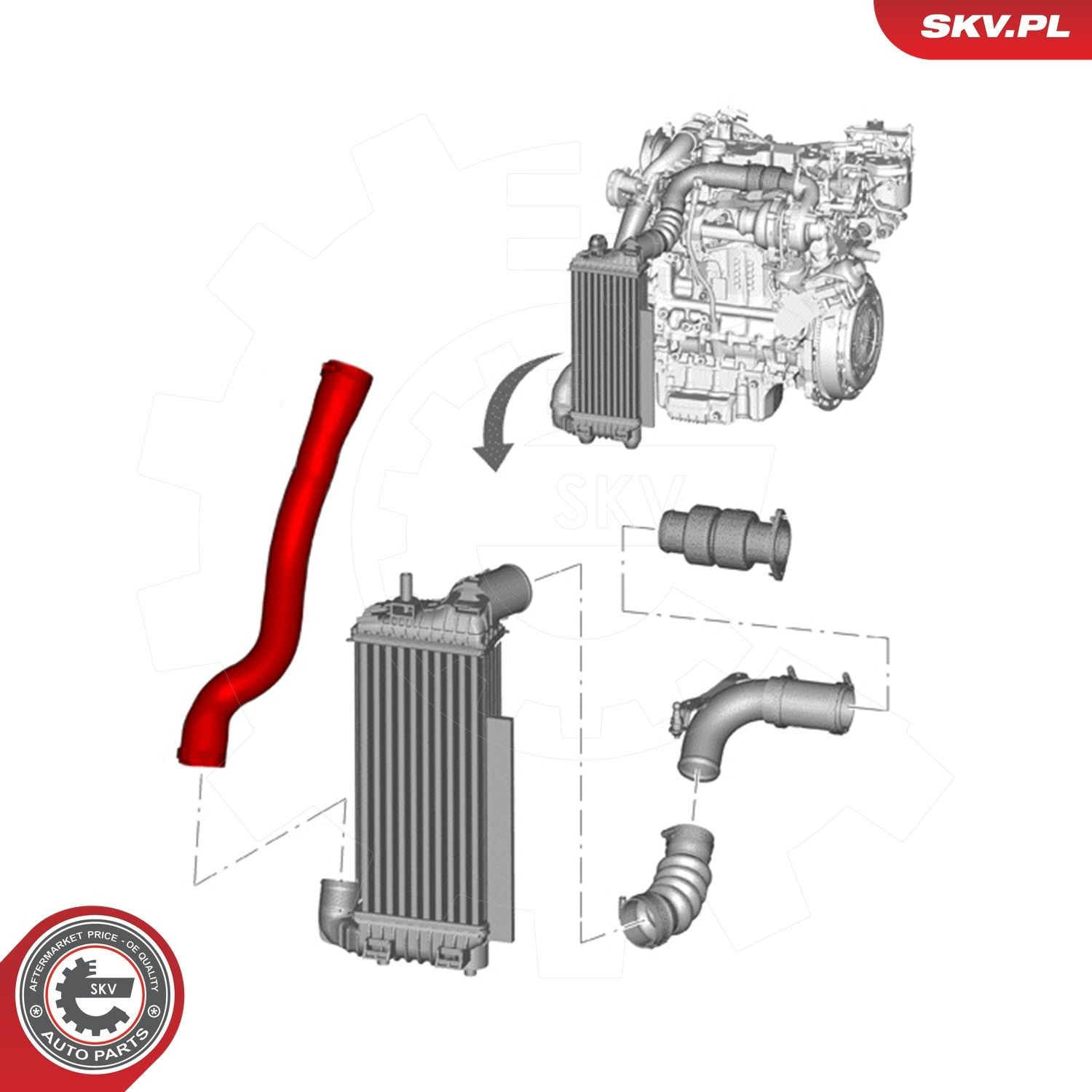 Шланг/патрубок интеркуллера 24SKV590 SKV