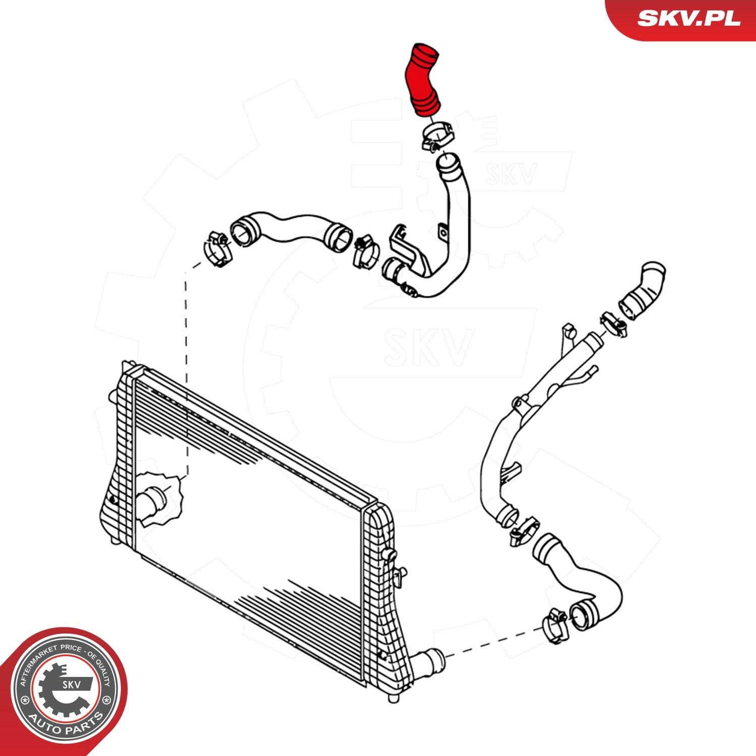 Шланг/патрубок интеркуллера 24SKV646 SKV