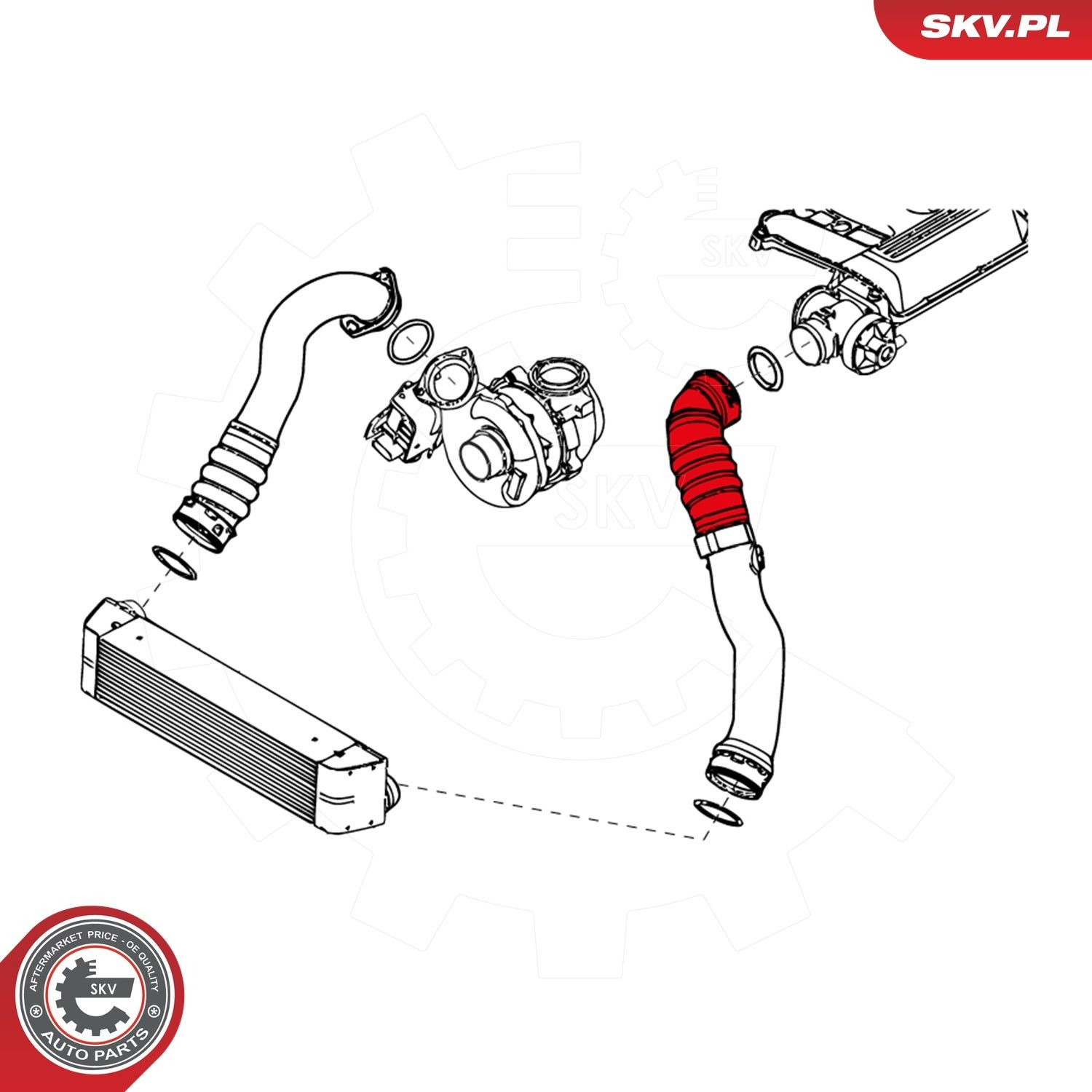 Шланг/патрубок интеркуллера 24SKV695 SKV