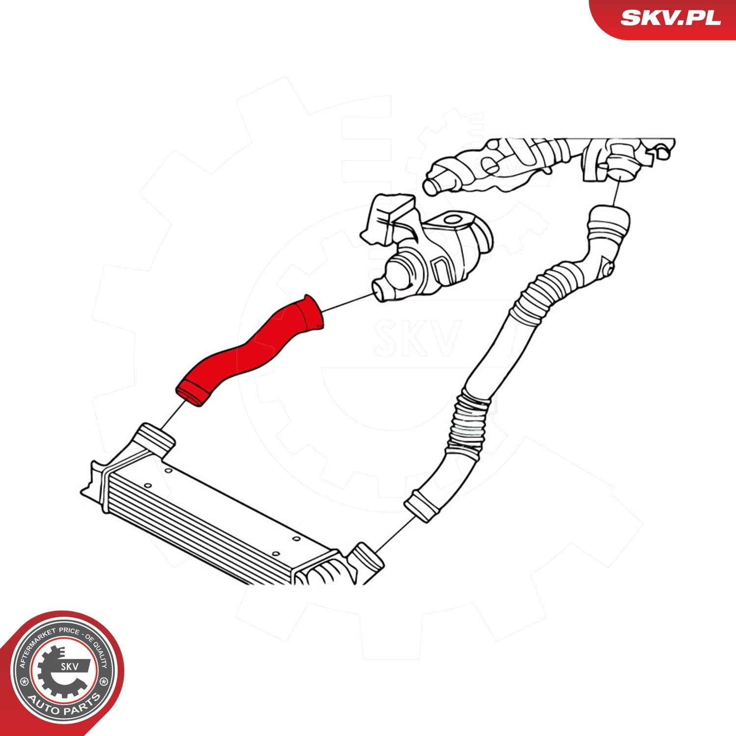 Купити 24SKV713 SKV Шланг/патрубок интеркуллера