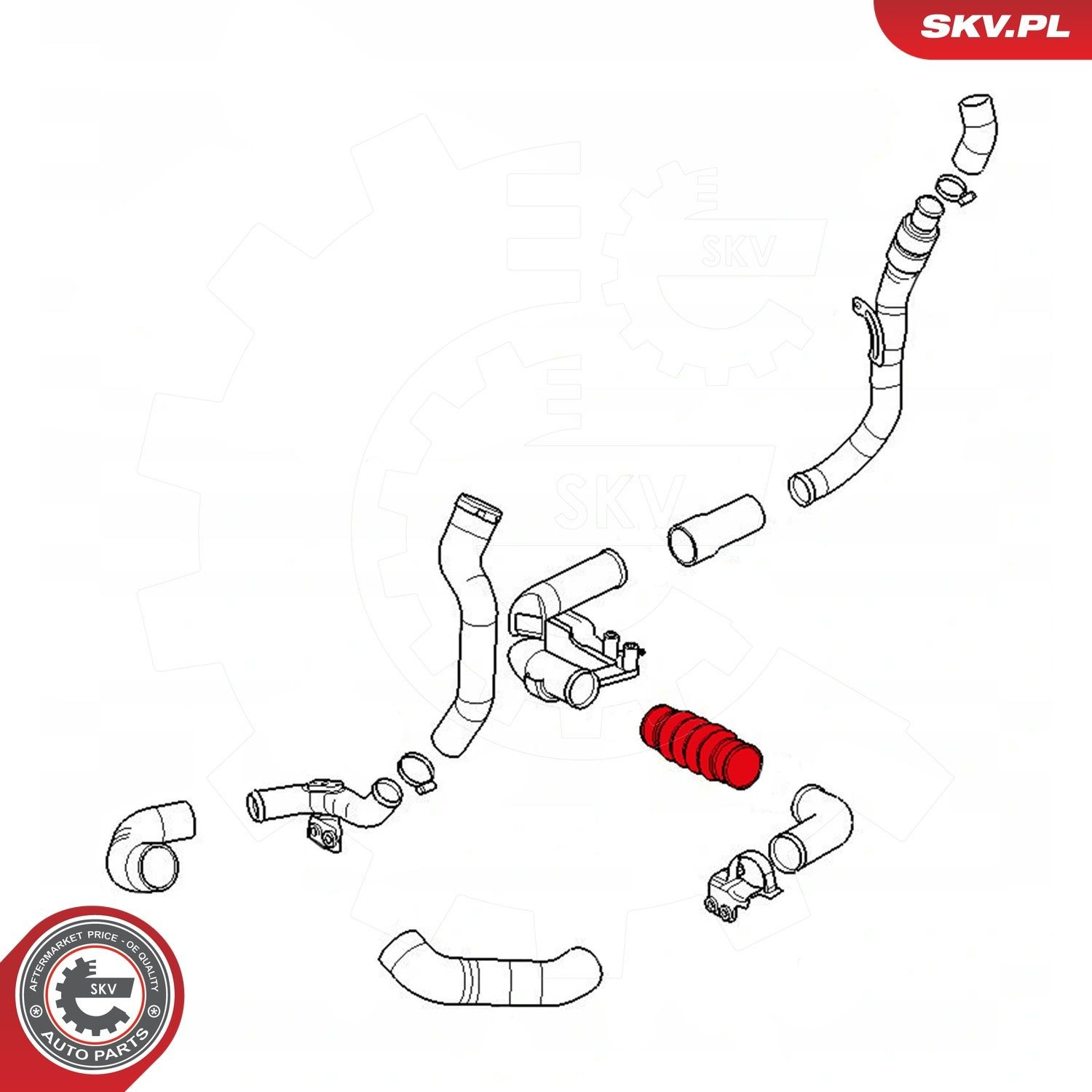 Купити 24SKV757 SKV Шланг/патрубок интеркуллера