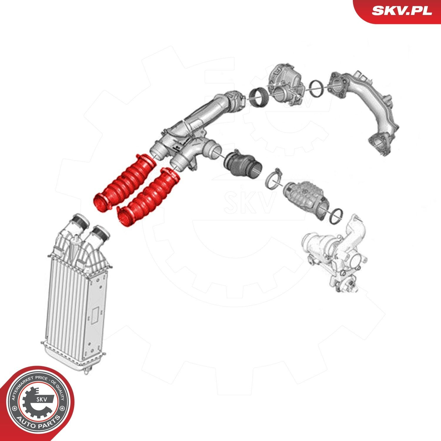 Шланг/патрубок интеркуллера 24SKV779 SKV