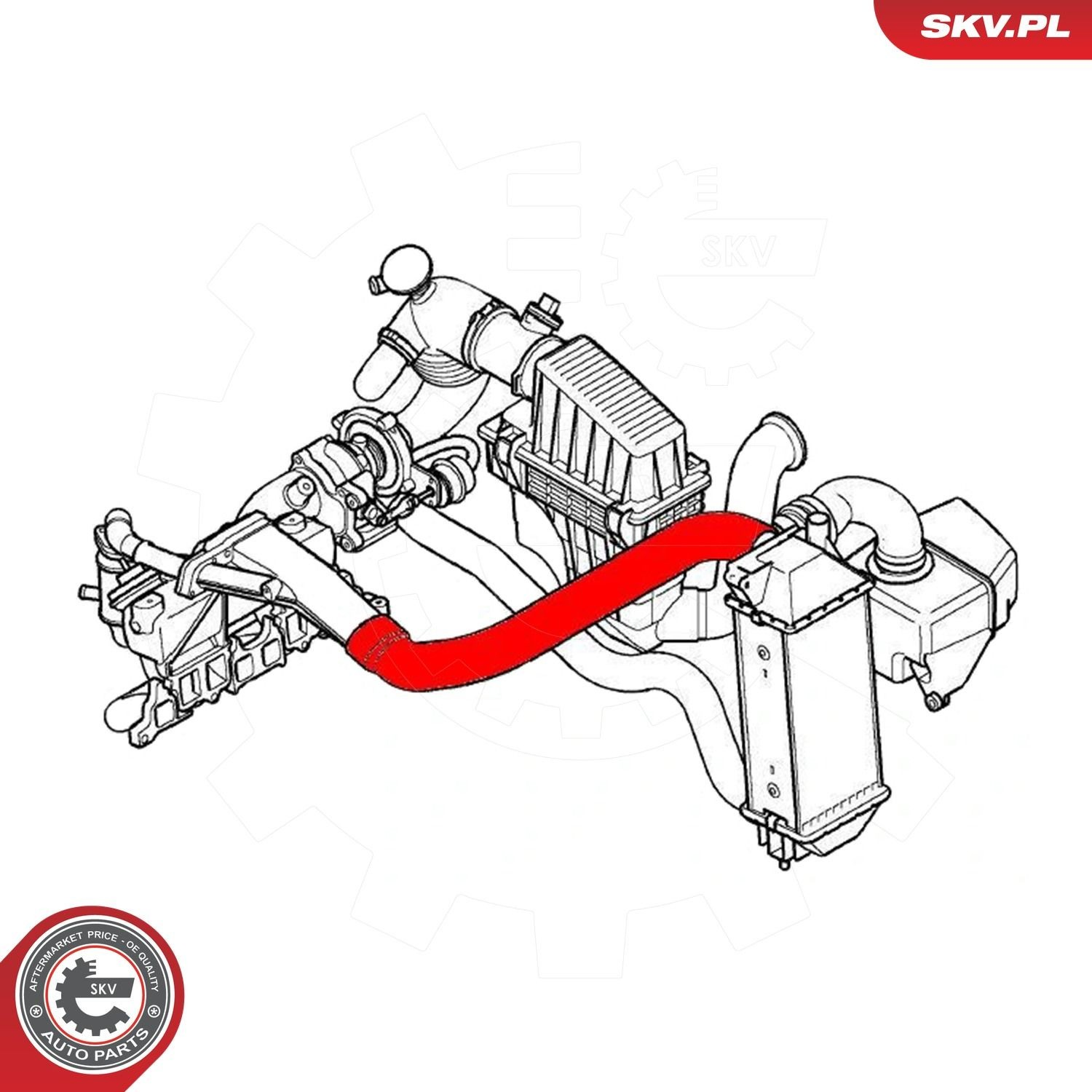 Купити 24SKV795 SKV Шланг/патрубок интеркуллера