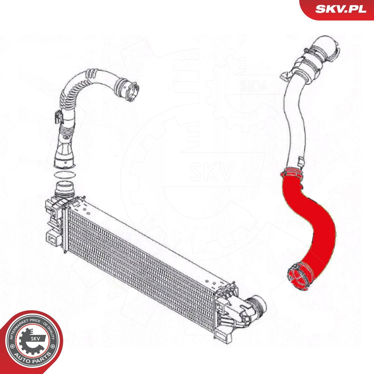 Шланг/патрубок інтеркуллера SKV 24SKV796
