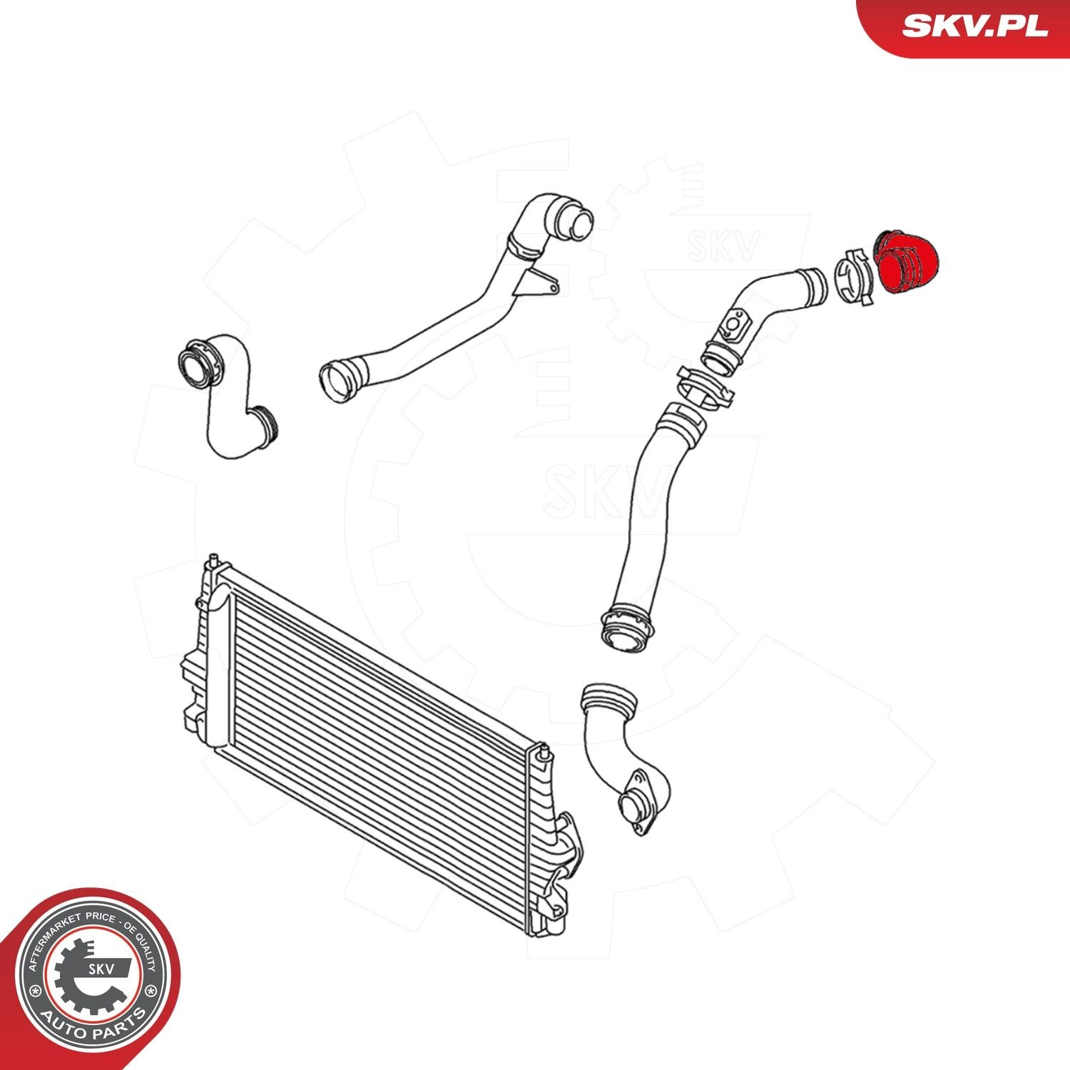 Шланг/патрубок інтеркуллера SKV 24SKV821