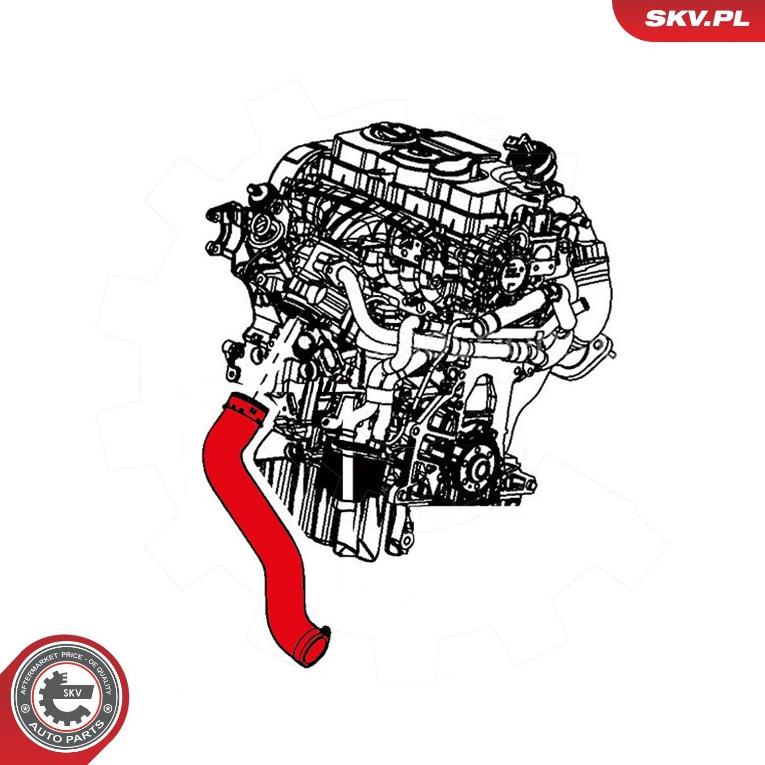 Шланг/патрубок інтеркуллера SKV 24SKV870