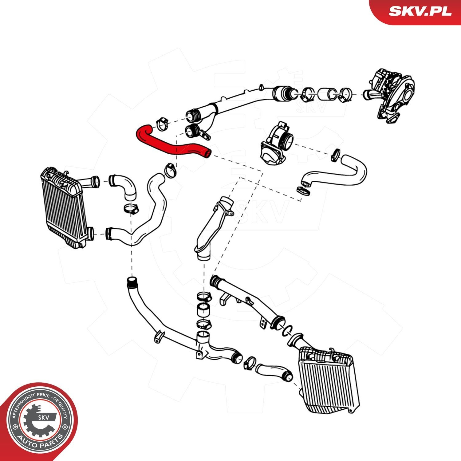 Шланг/патрубок интеркуллера 24SKV954 SKV