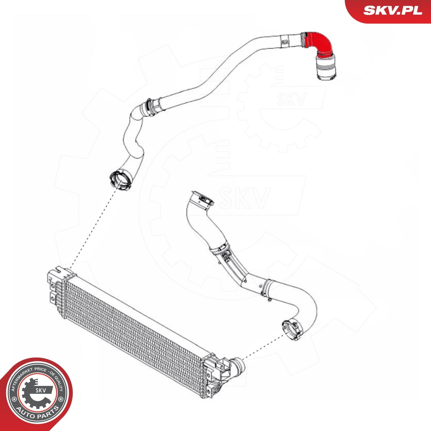 Шланг/патрубок інтеркуллера SKV 24SKV972
