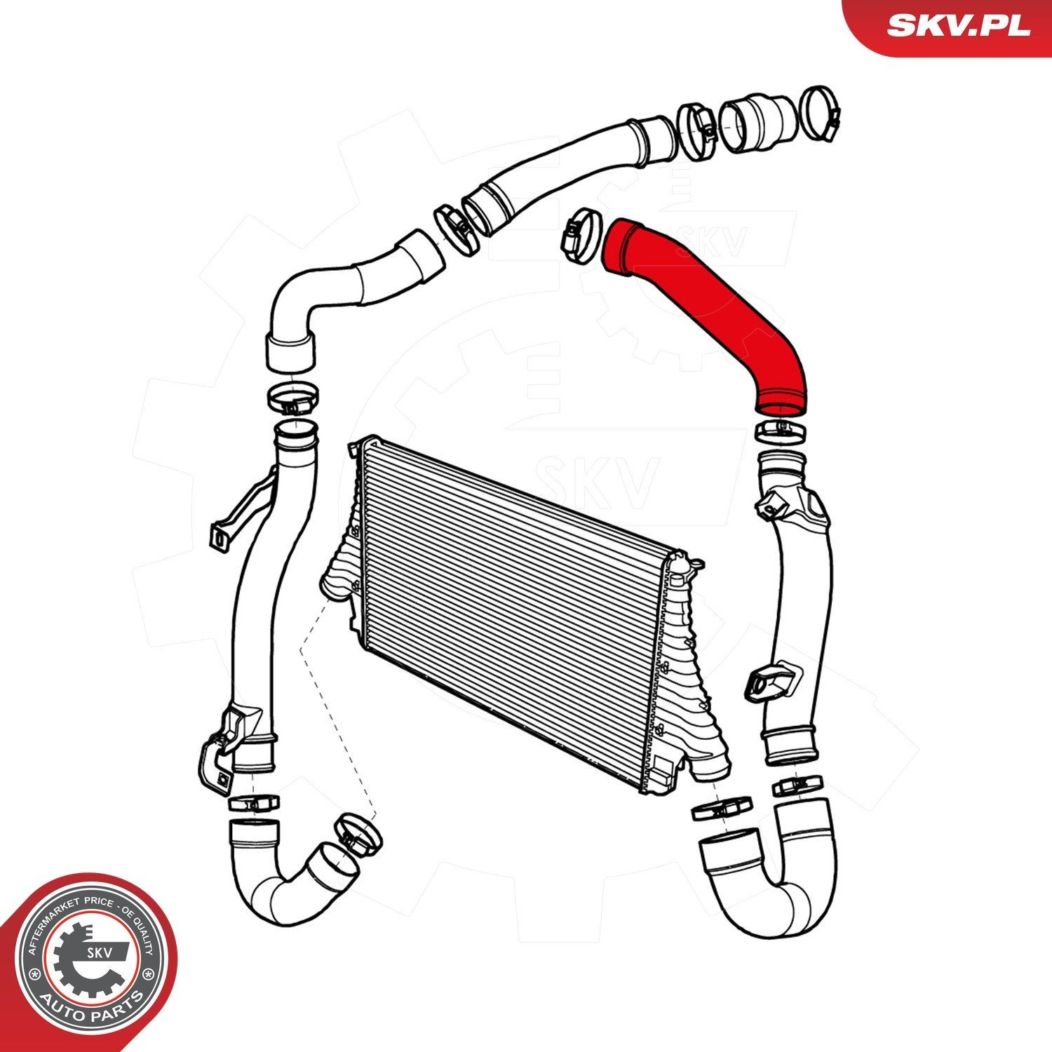 Шланг/патрубок интеркуллера SKV 24SKV992 ціна, від 24.19 USD