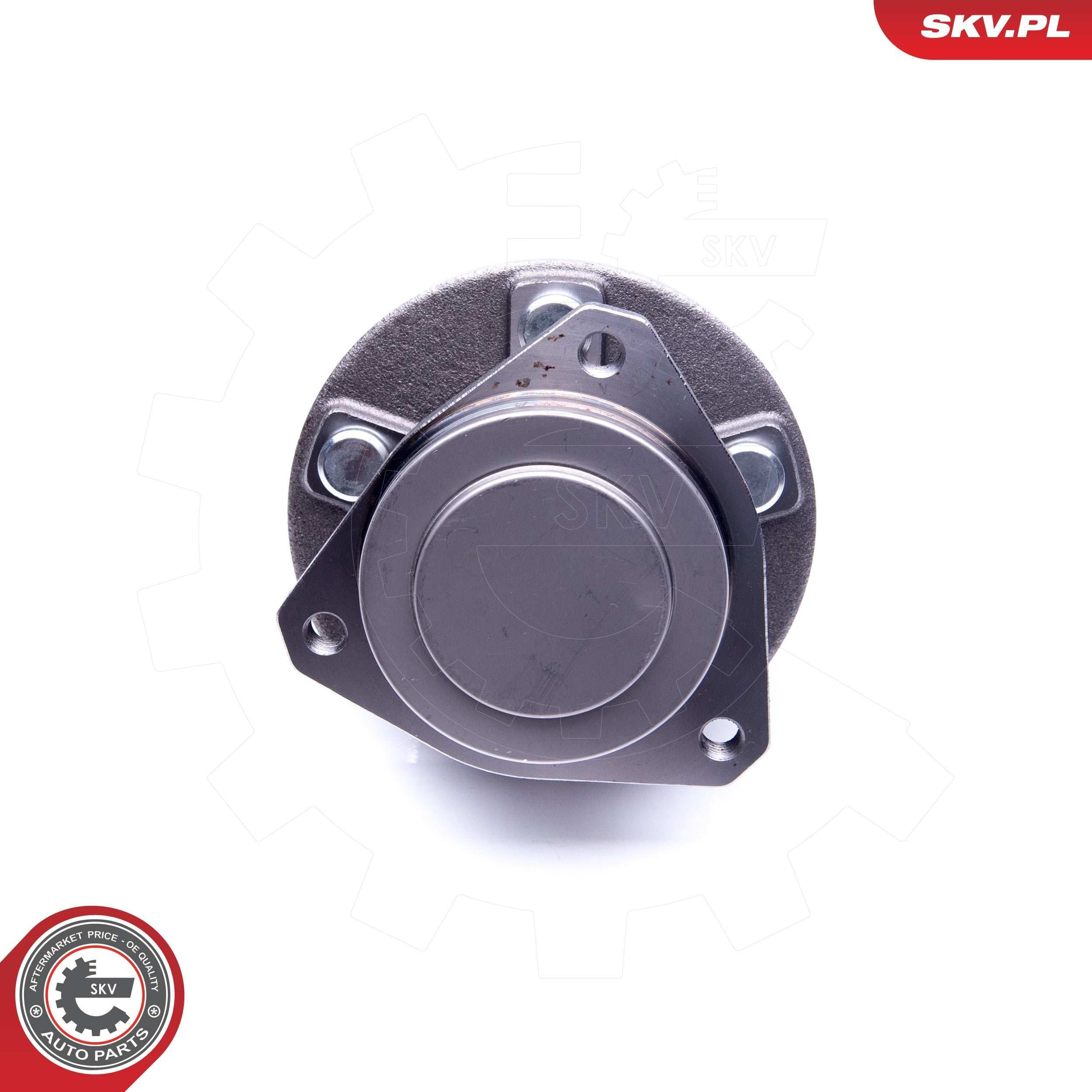 29SKV261 SKV Маточина (передня)