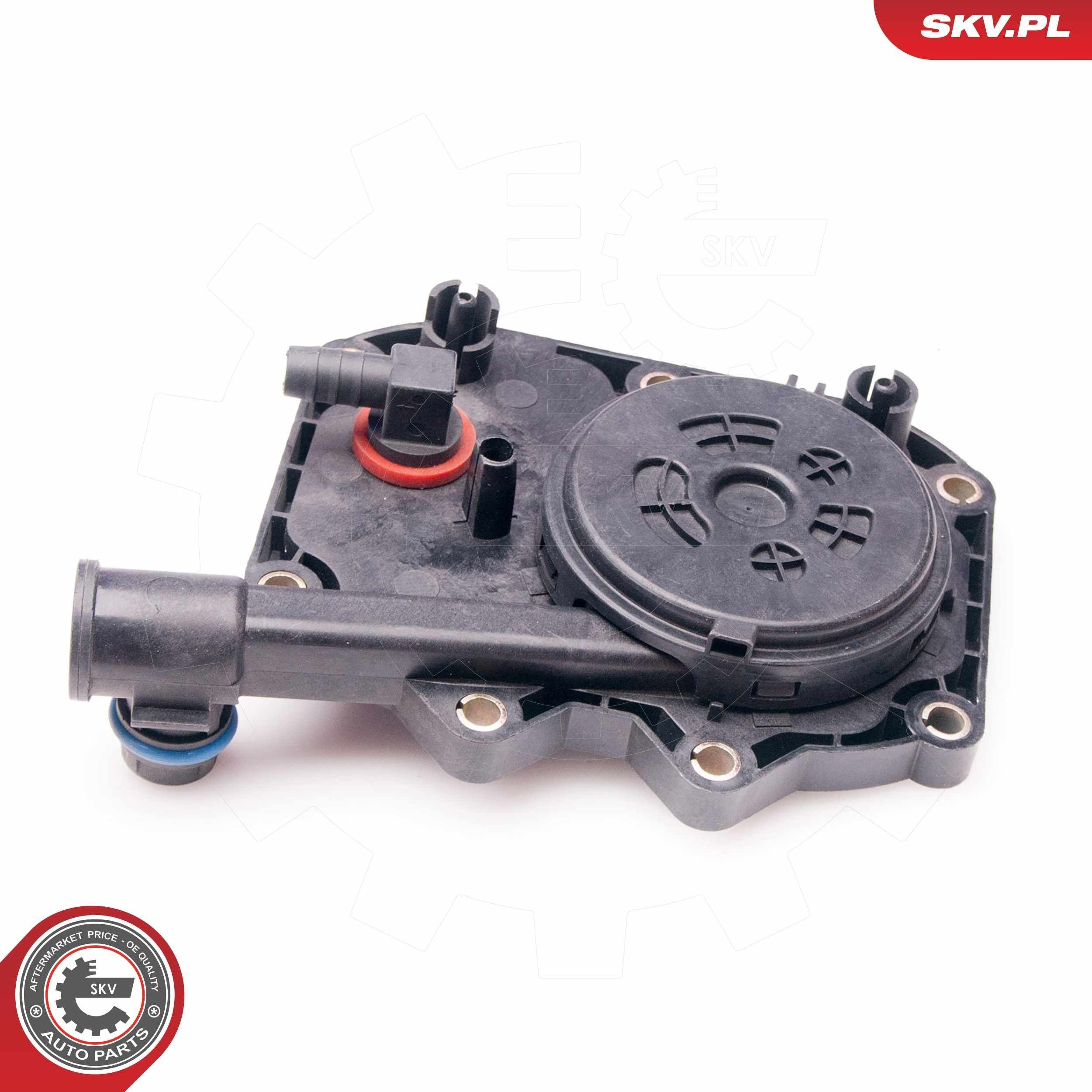 Масловіддільник газів SKV 31SKV031