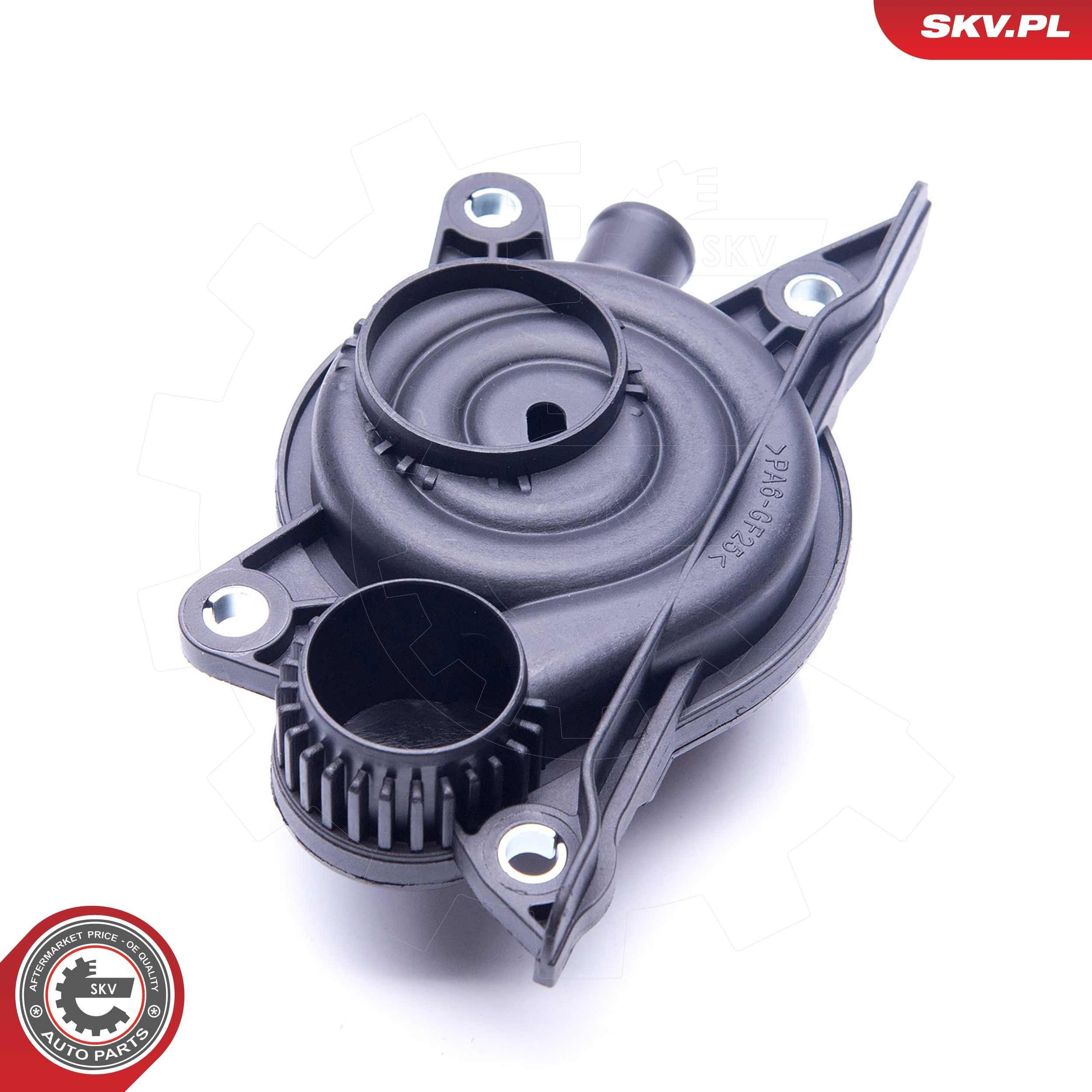 31SKV060 SKV Клапан PCV (вентиляції картерних газів)