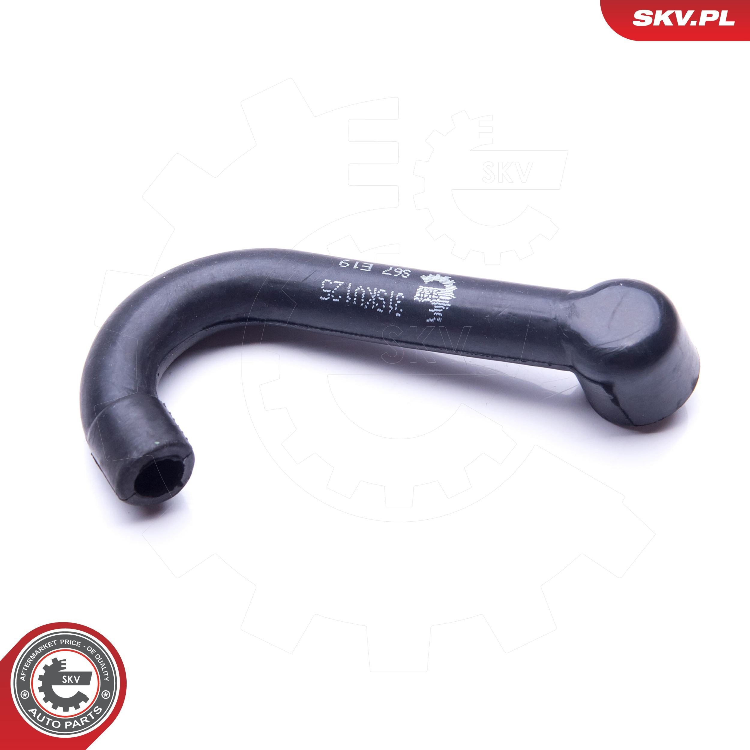 Купити 31SKV125 SKV 