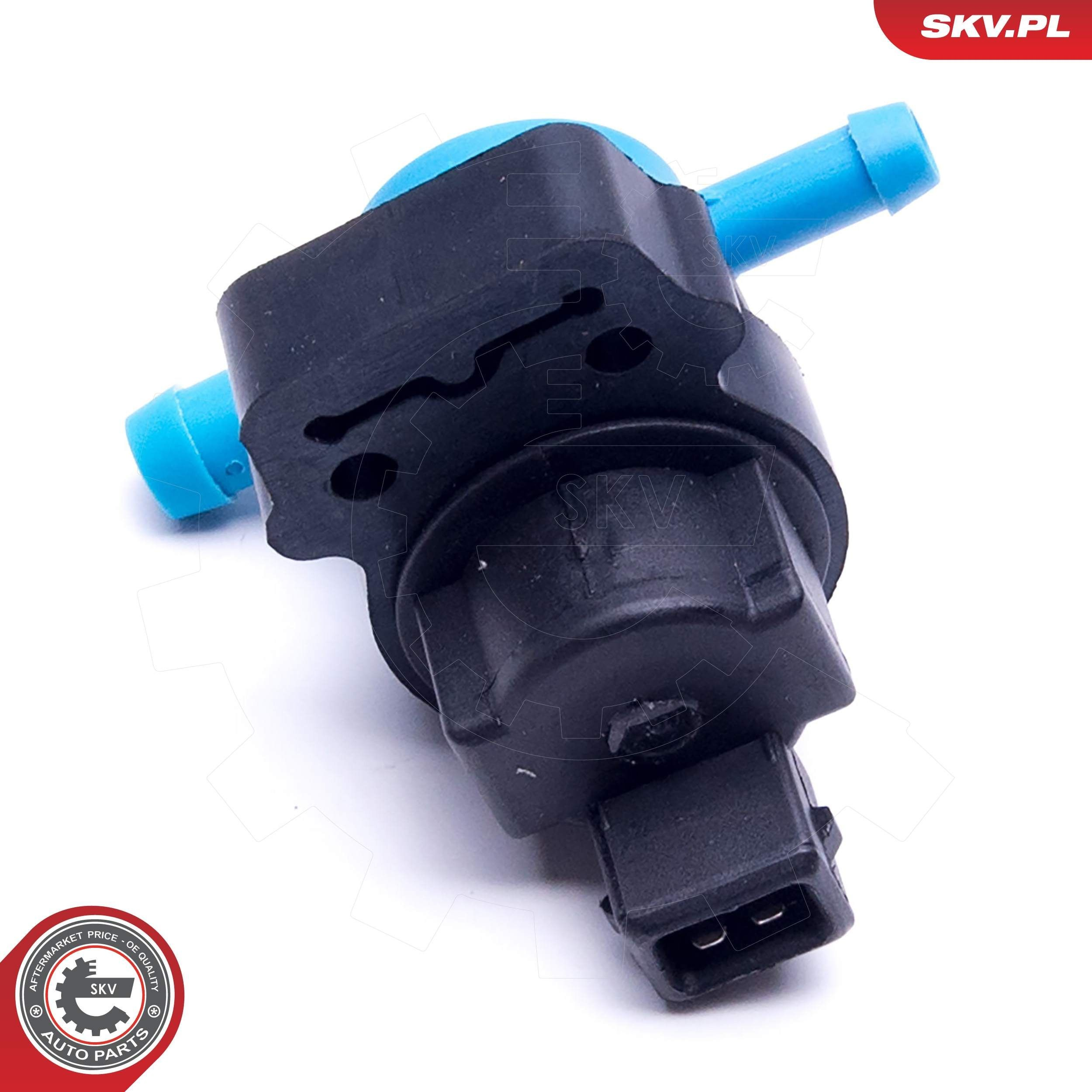 Клапан абсорбера 31SKV164 SKV