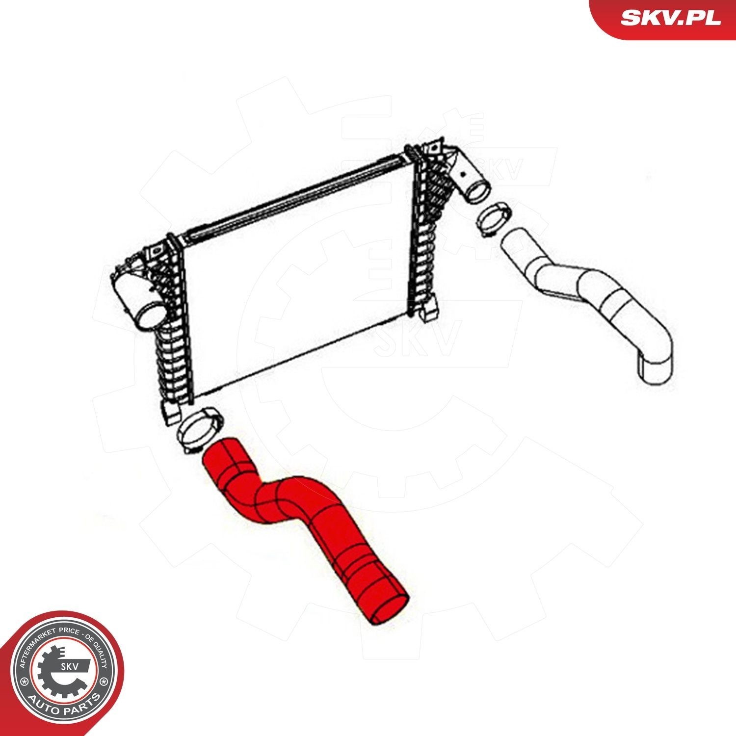 Купити 43SKV001 SKV 