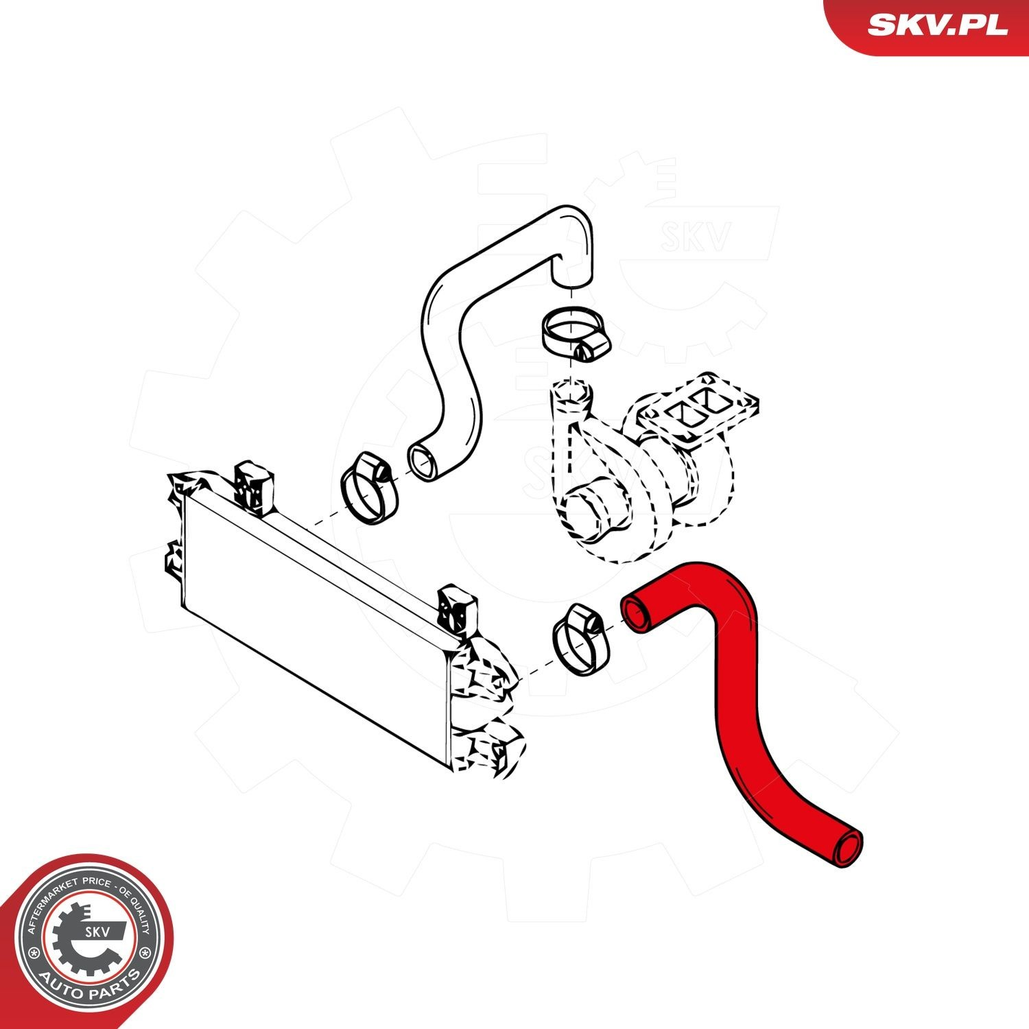Купити 43SKV017 SKV 