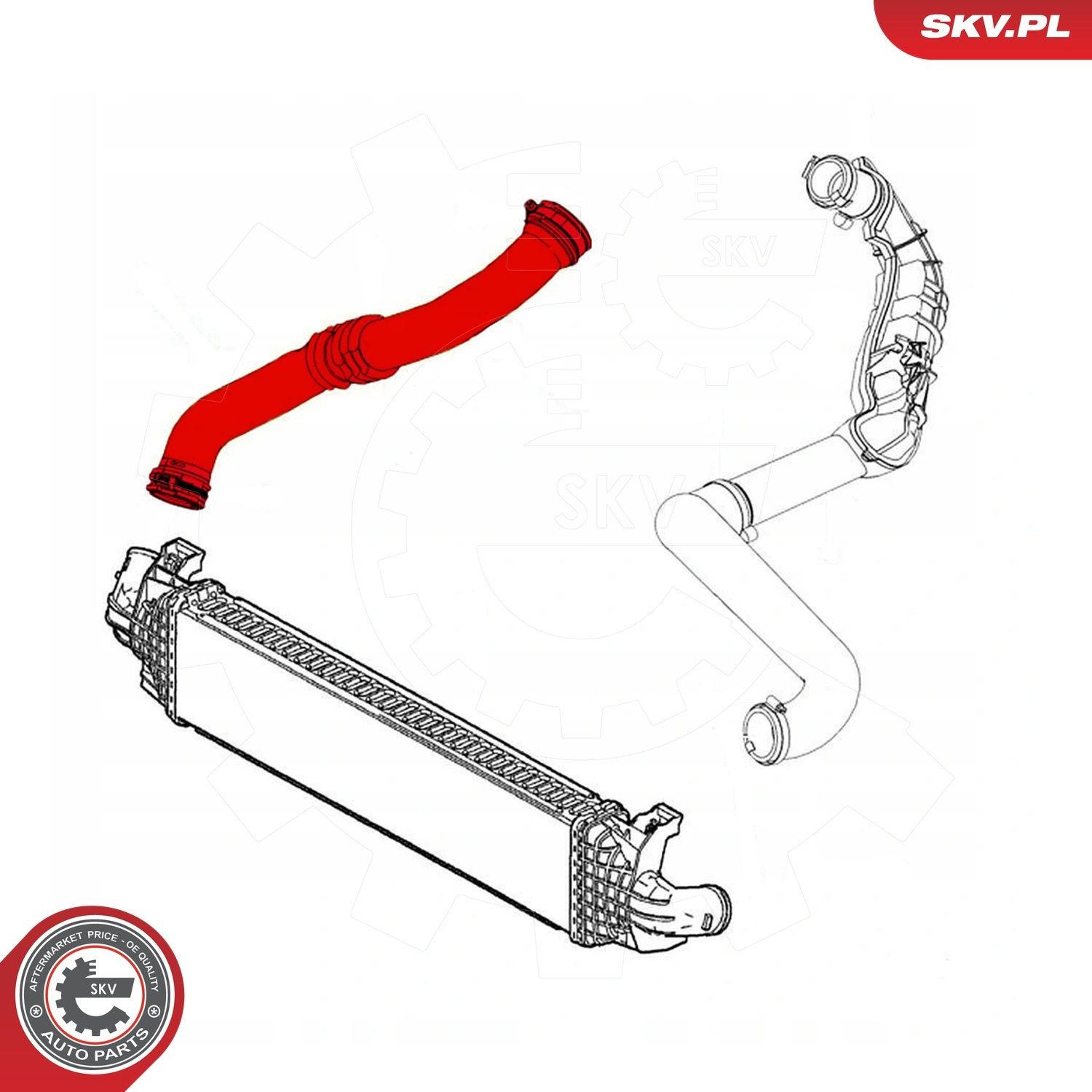 Купити 43SKV052 SKV 