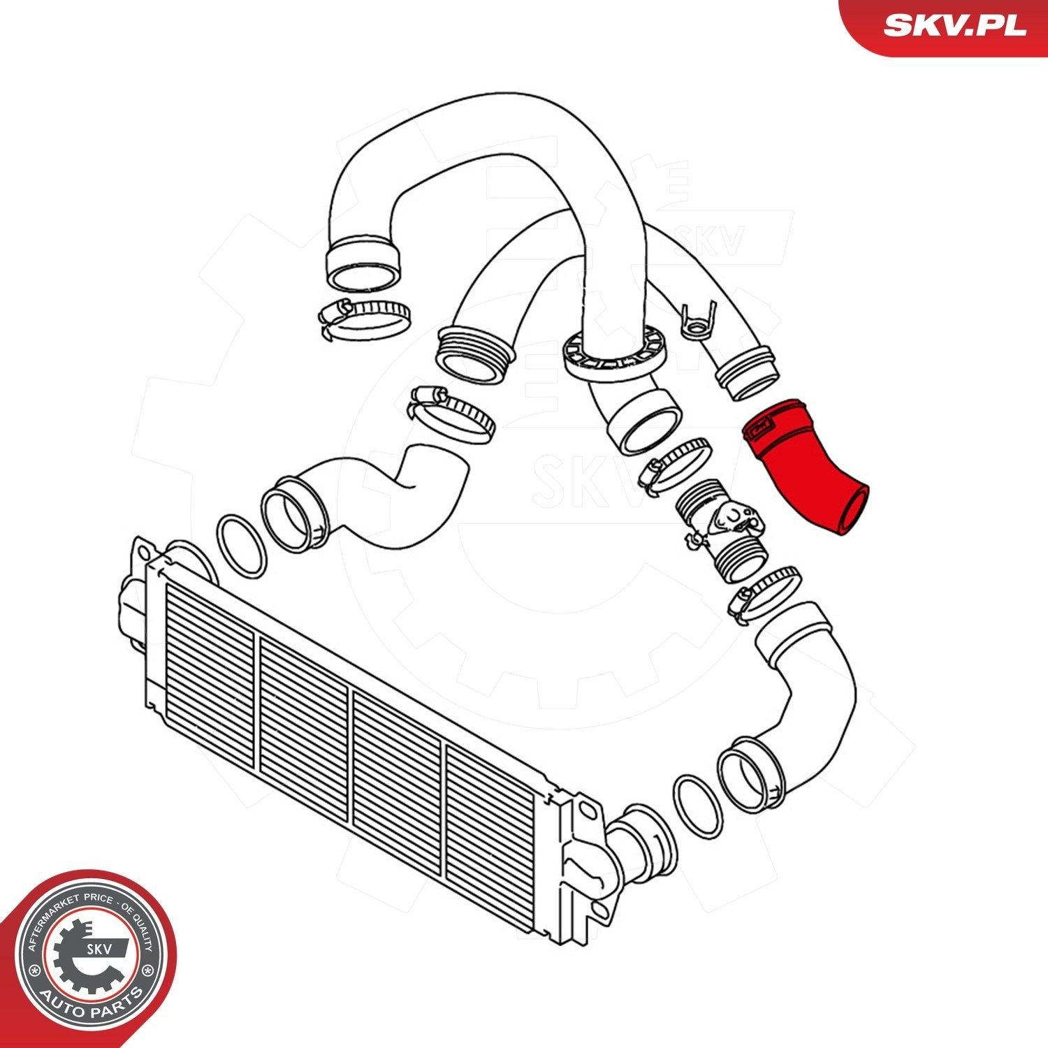 Шланг/патрубок інтеркуллера SKV 43SKV108