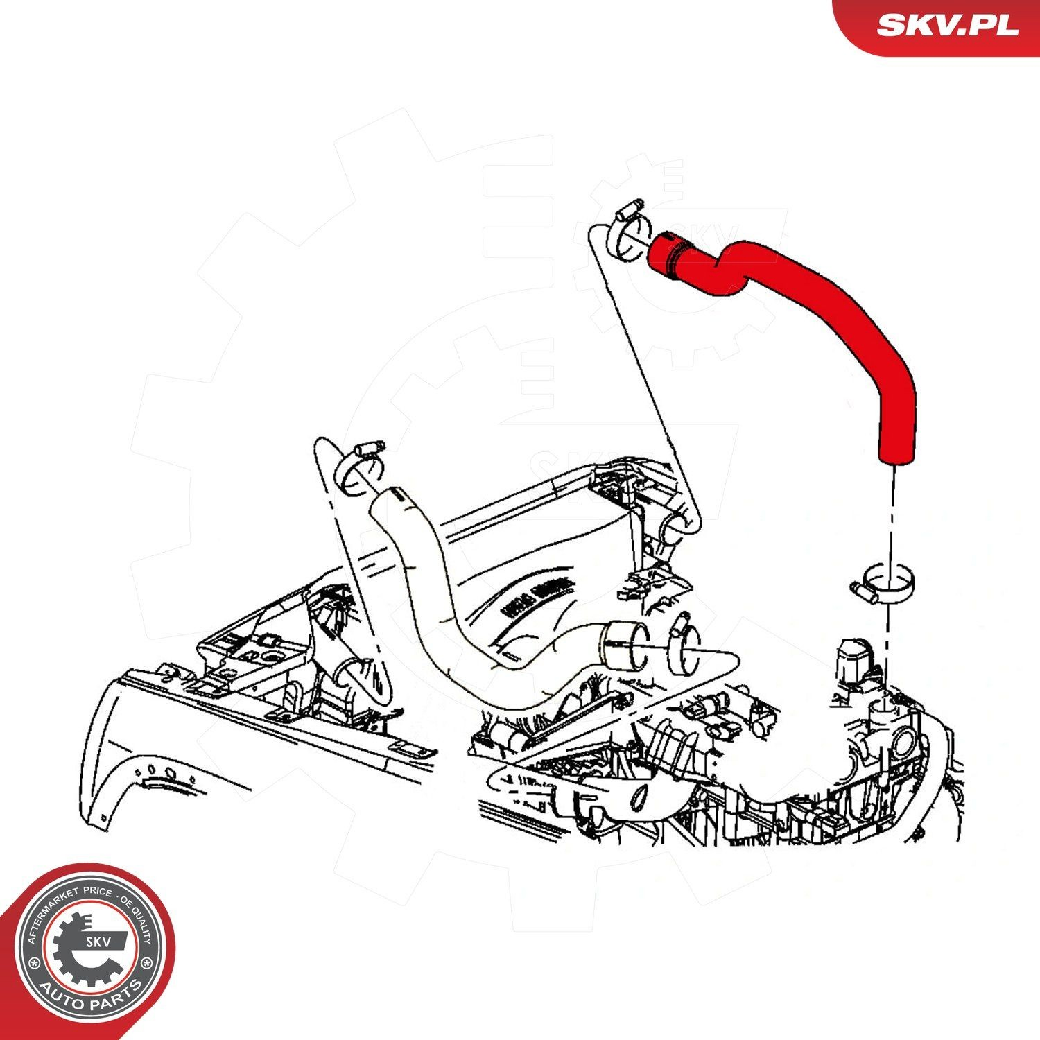 Купити 43SKV141 SKV Шланг/патрубок интеркуллера