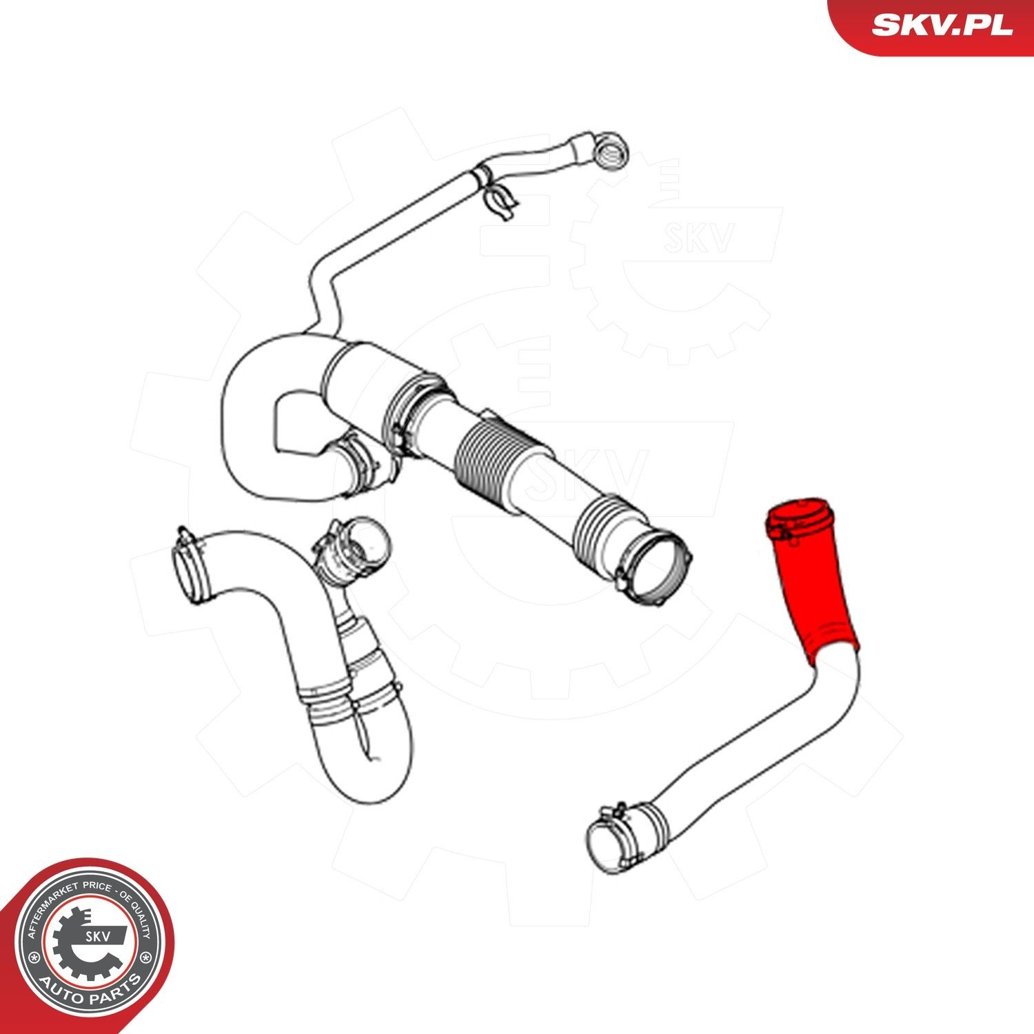  SKV 43SKV175