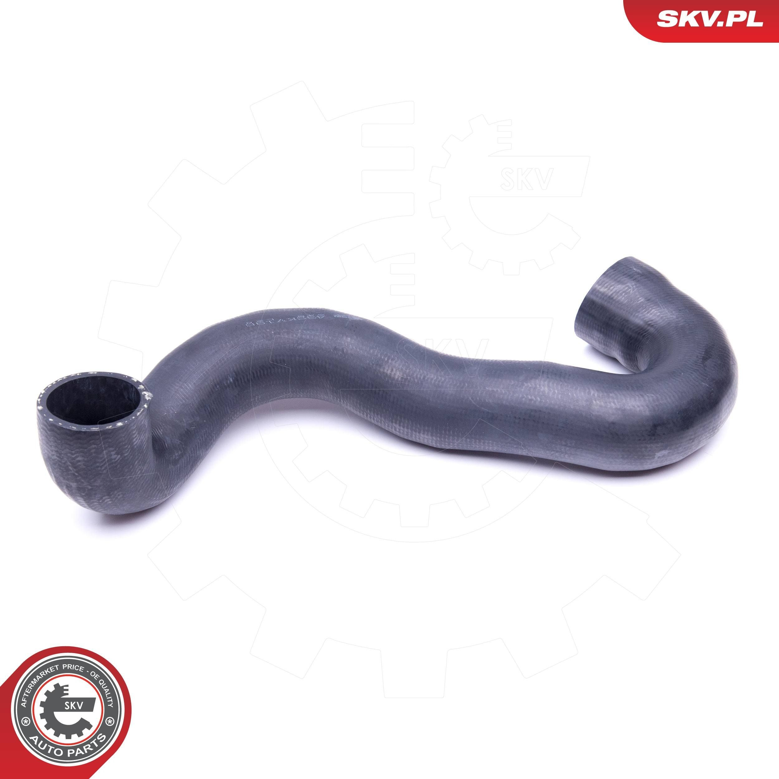  SKV 43SKV196