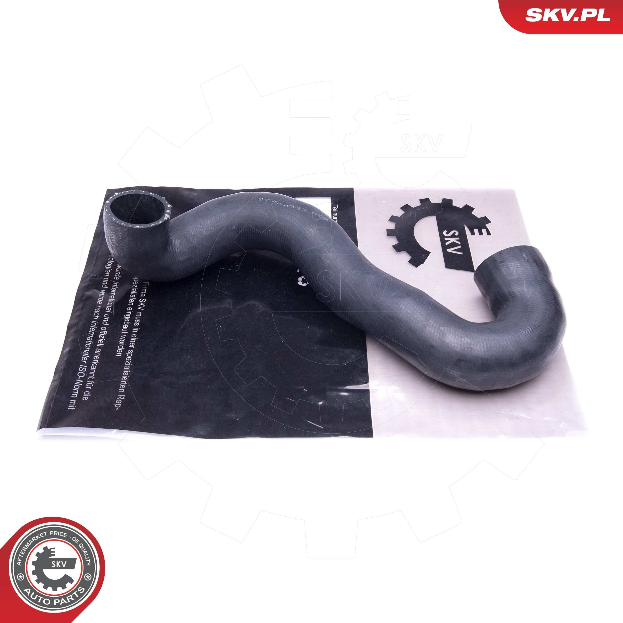 43SKV196 SKV 