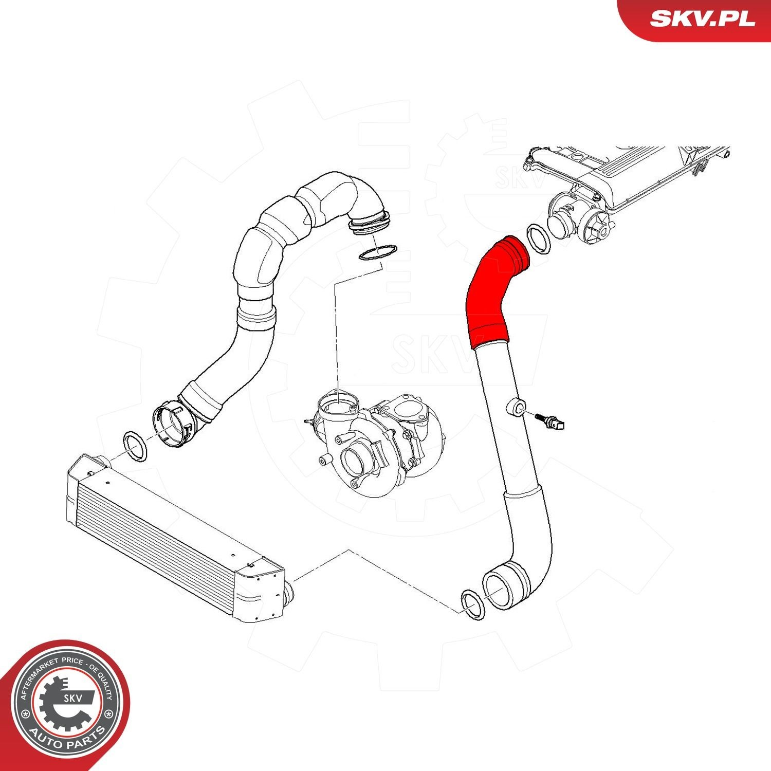 Шланг/патрубок интеркуллера 43SKV206 SKV