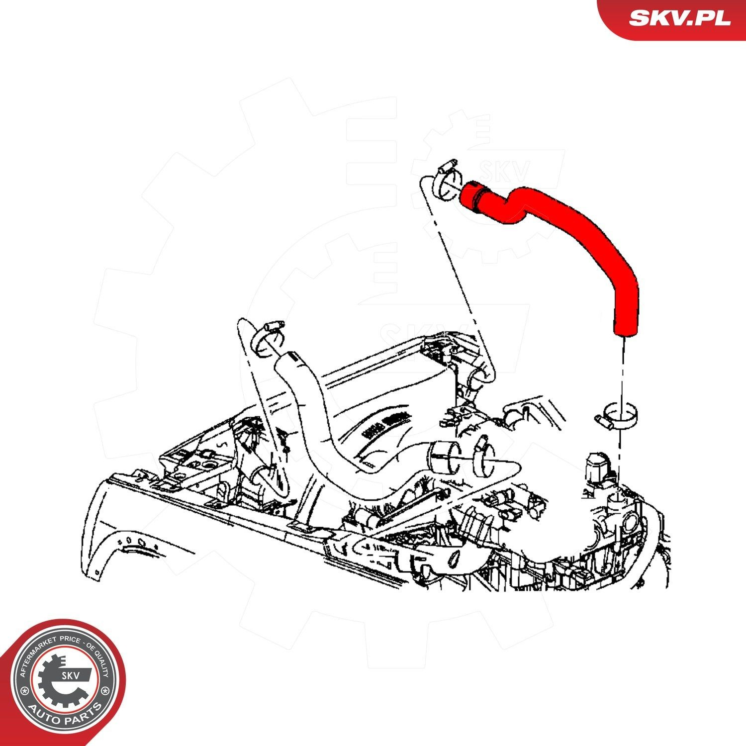  43SKV207 SKV