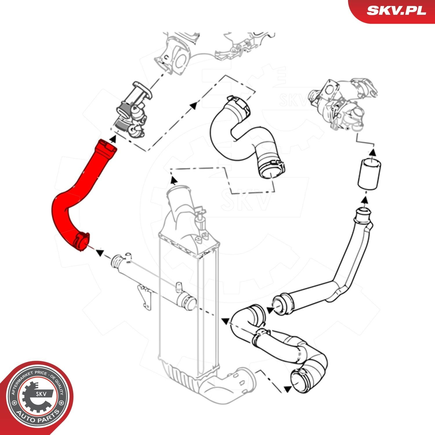Шланг/патрубок интеркуллера 43SKV210 SKV