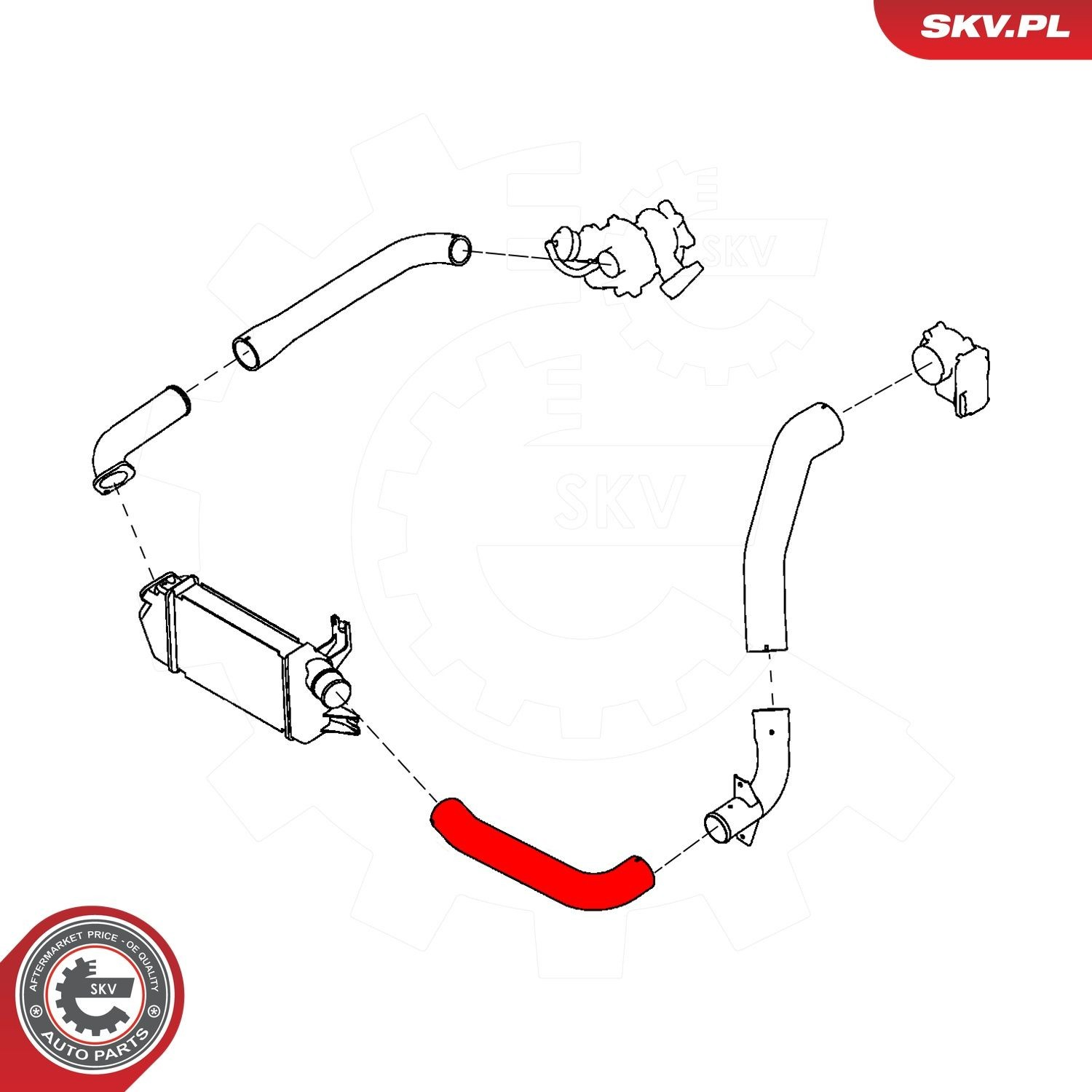 Шланг/патрубок интеркуллера 43SKV252 SKV