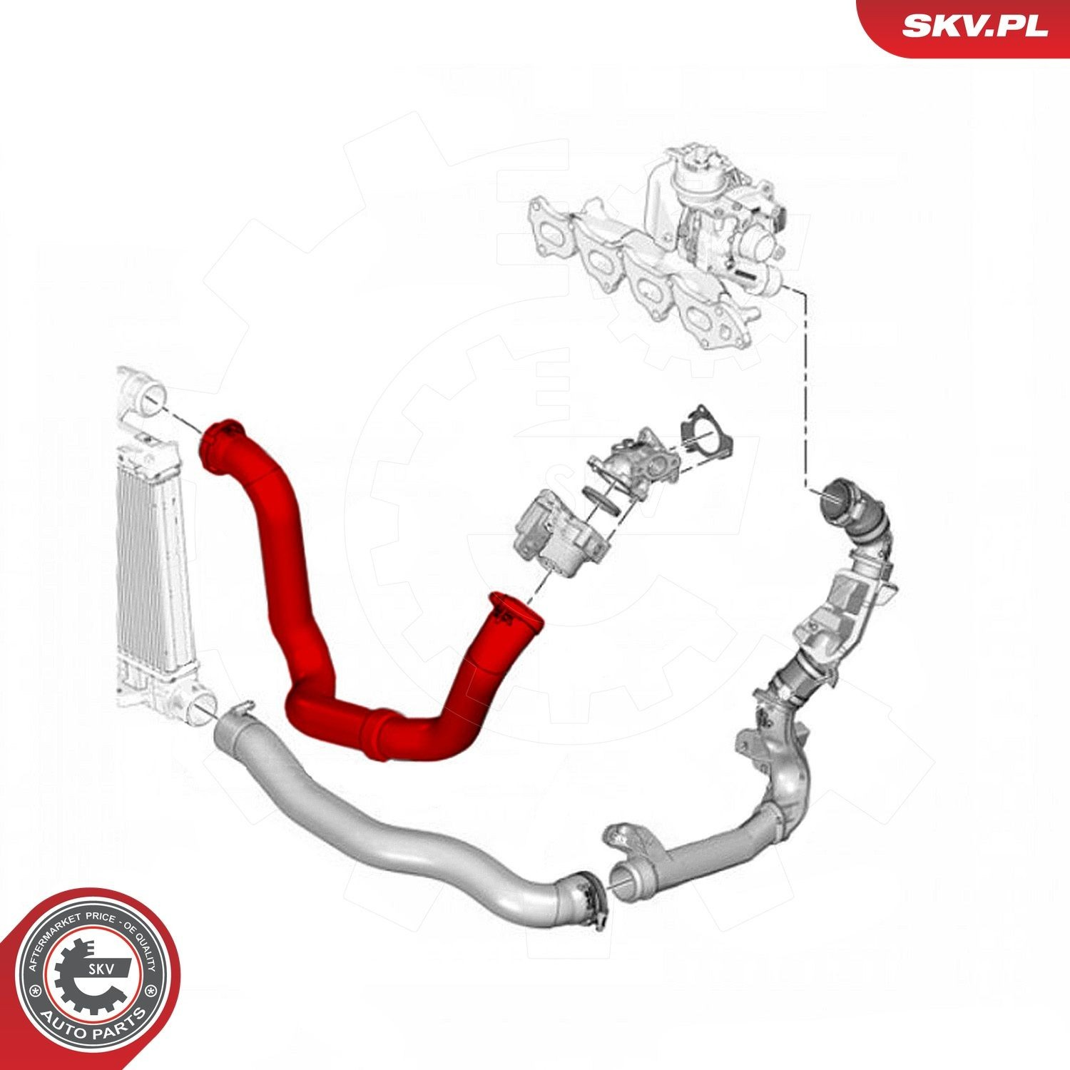 43SKV268 SKV Шланг/патрубок интеркуллера