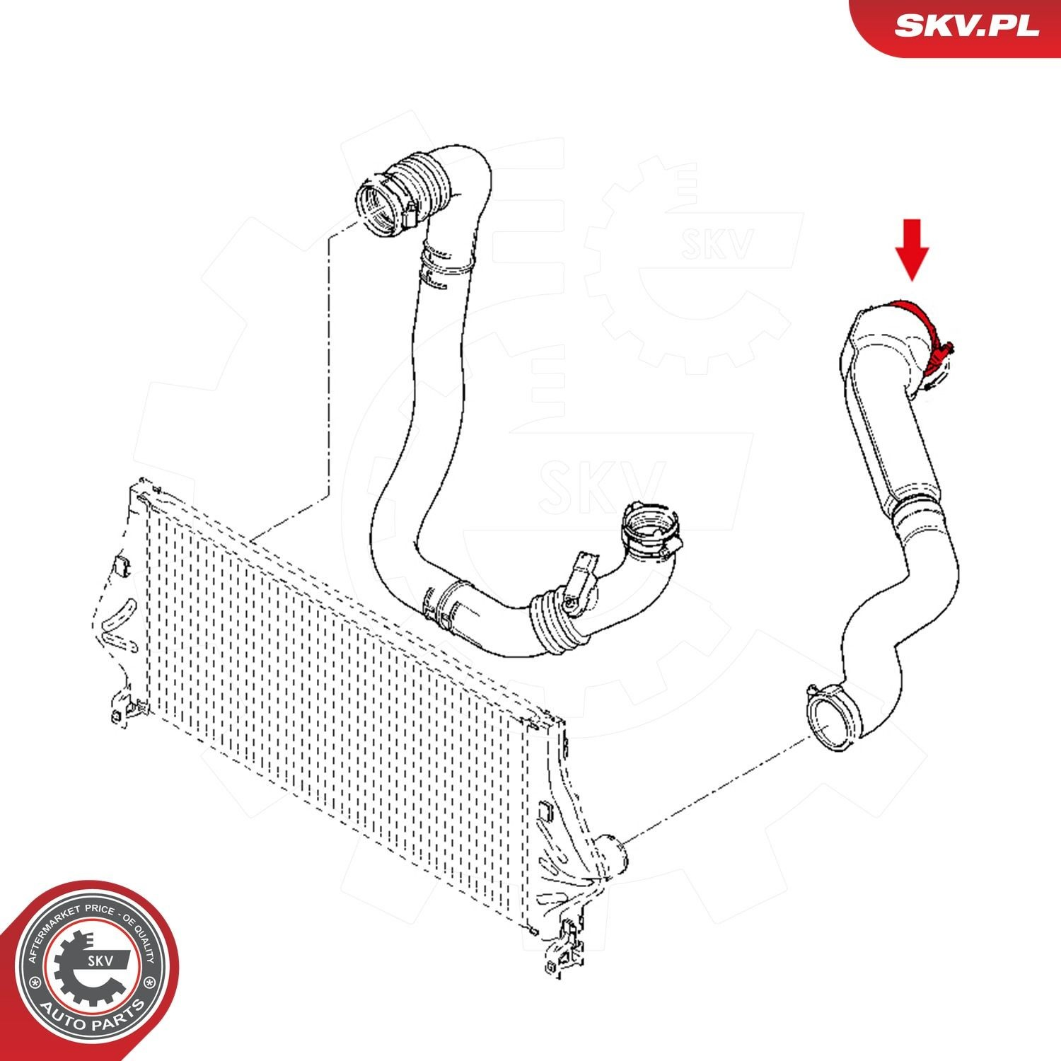Купити 43SKV271 SKV Шланг/патрубок интеркуллера