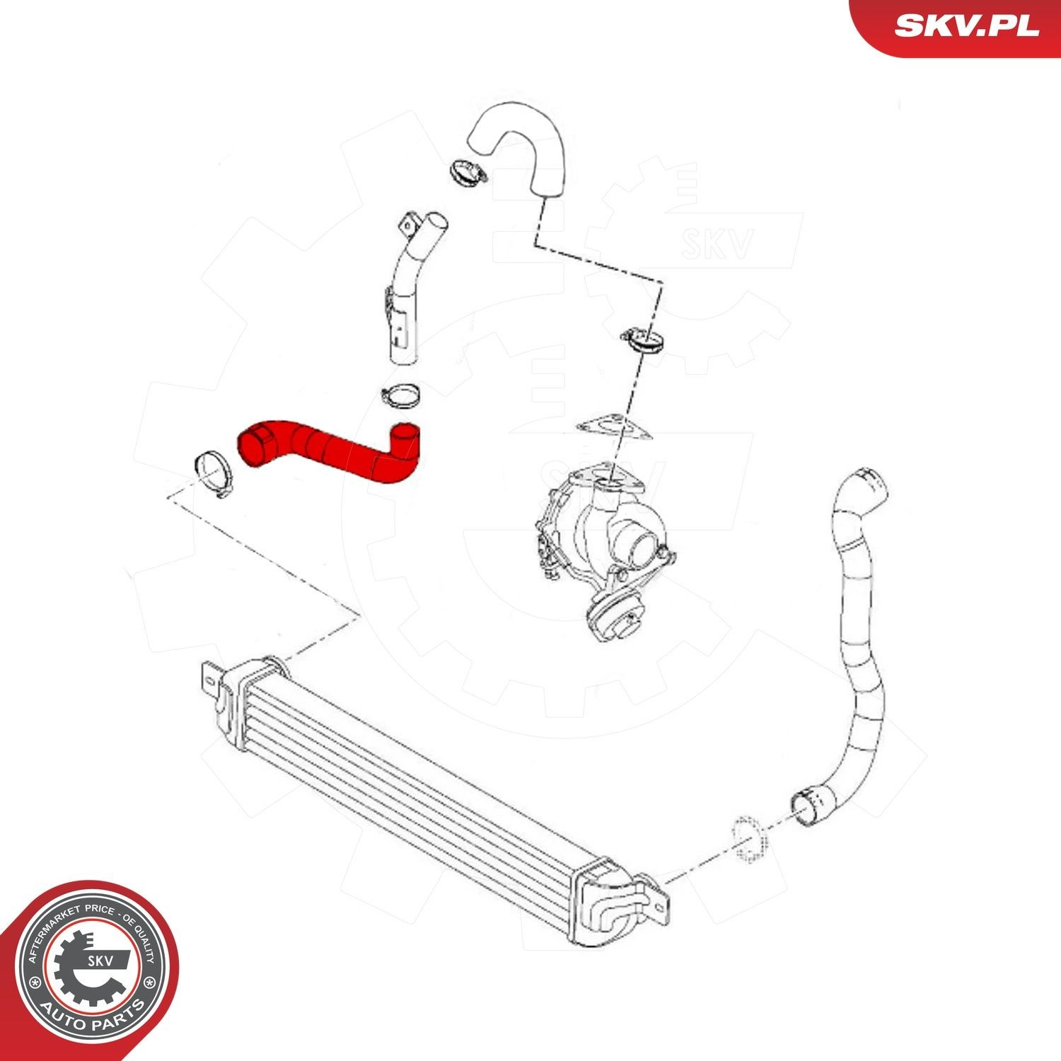 Купити 43SKV300 SKV 